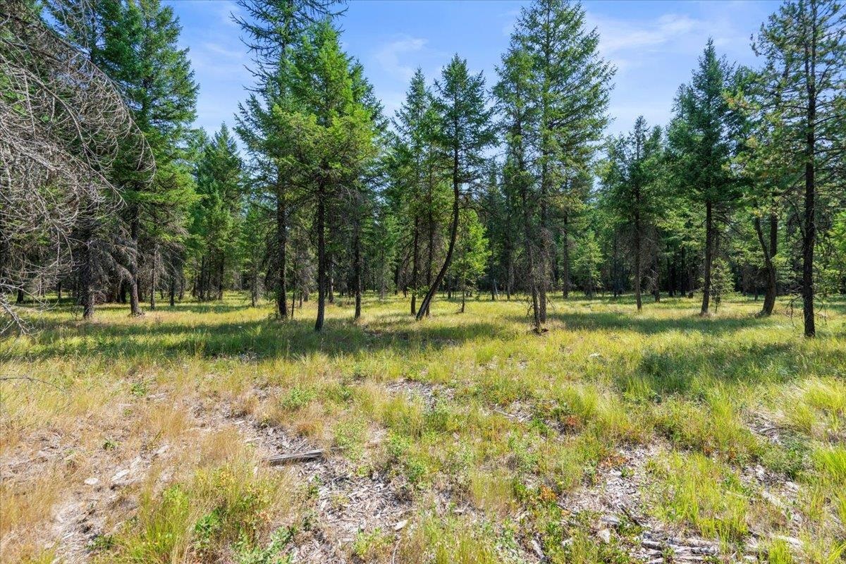 311 BIGFOOT Rd - Photo 16