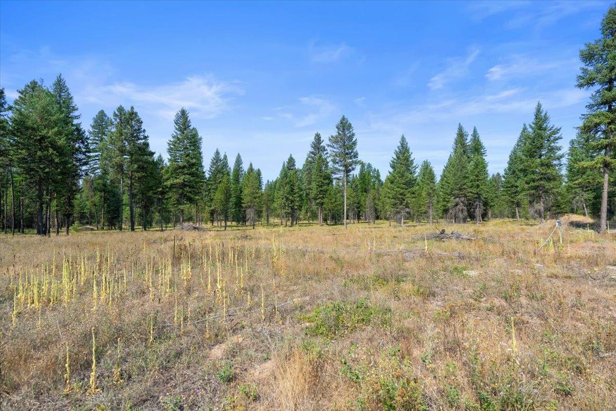 311 BIGFOOT Rd - Photo 17