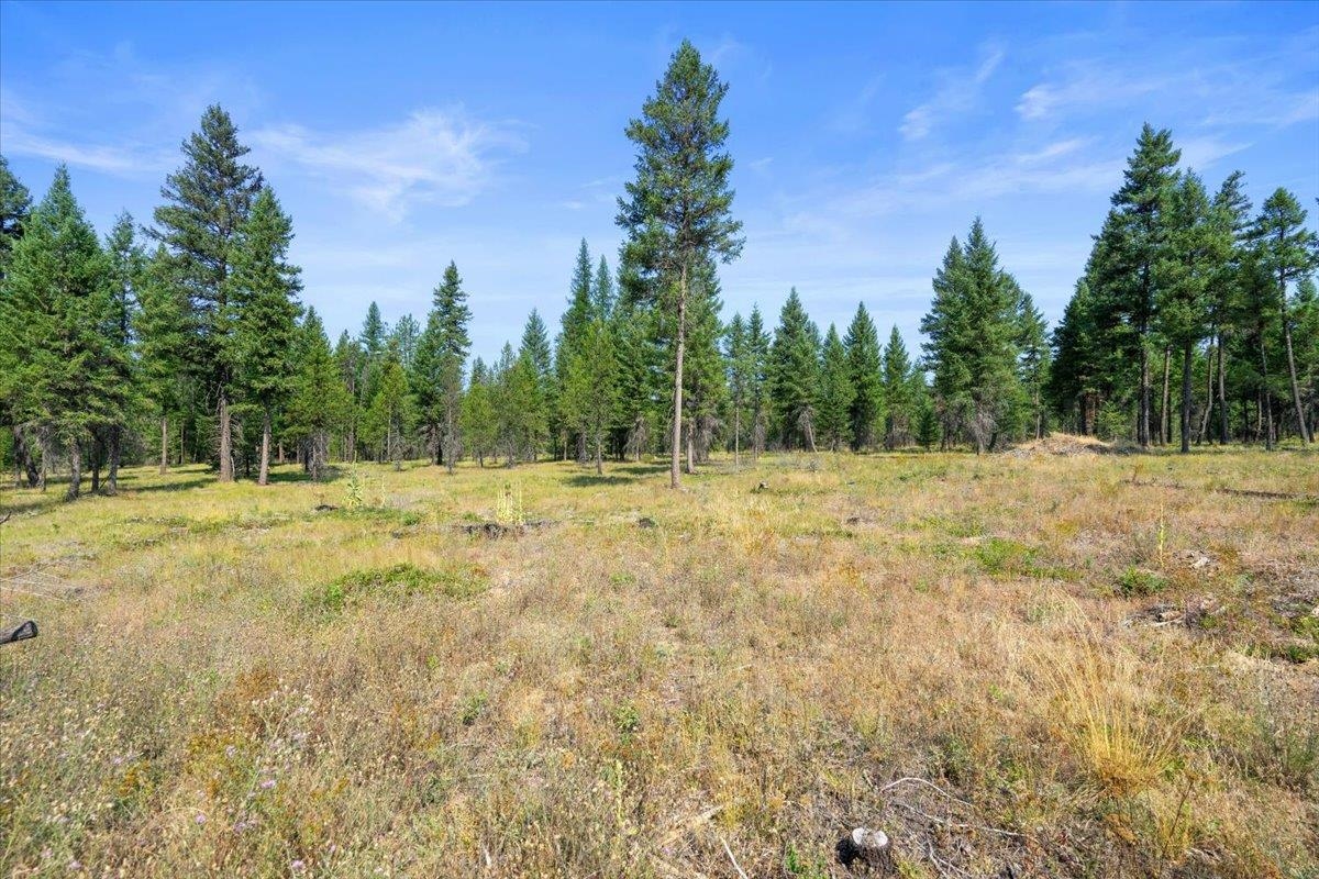 311 BIGFOOT Rd - Photo 18