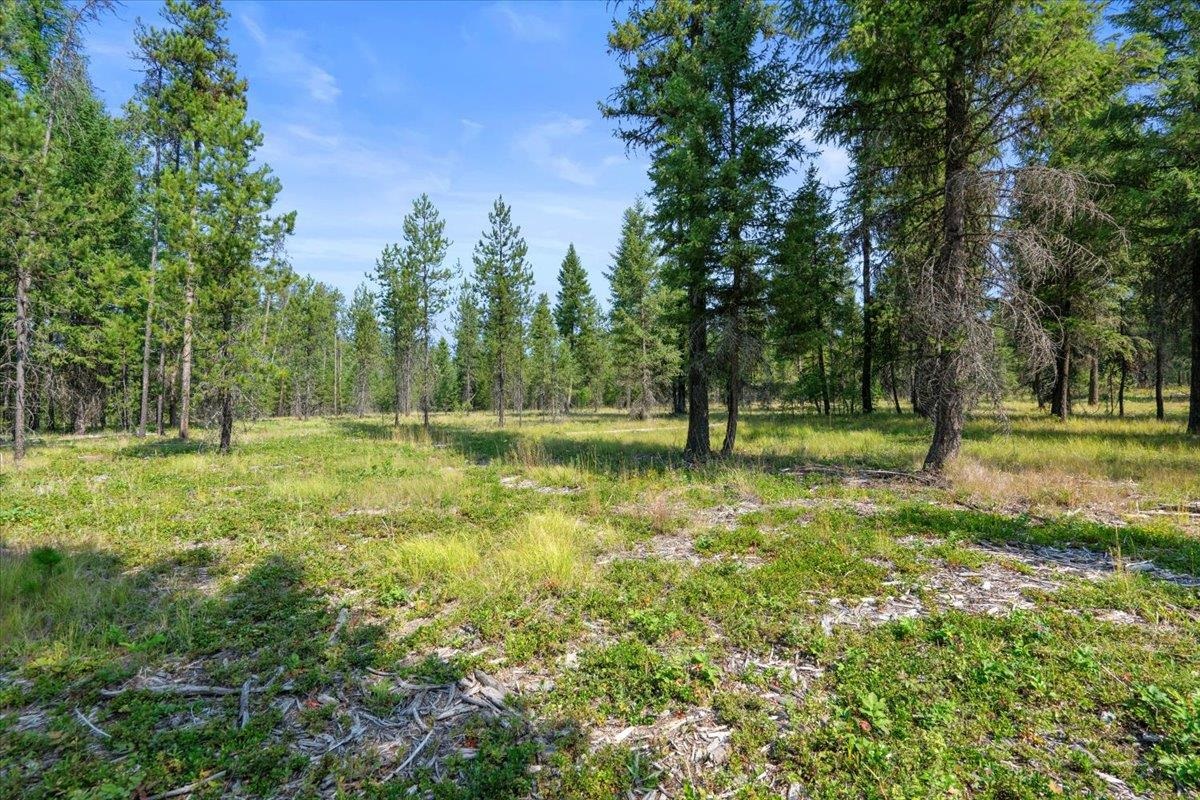 311 BIGFOOT Rd - Photo 20