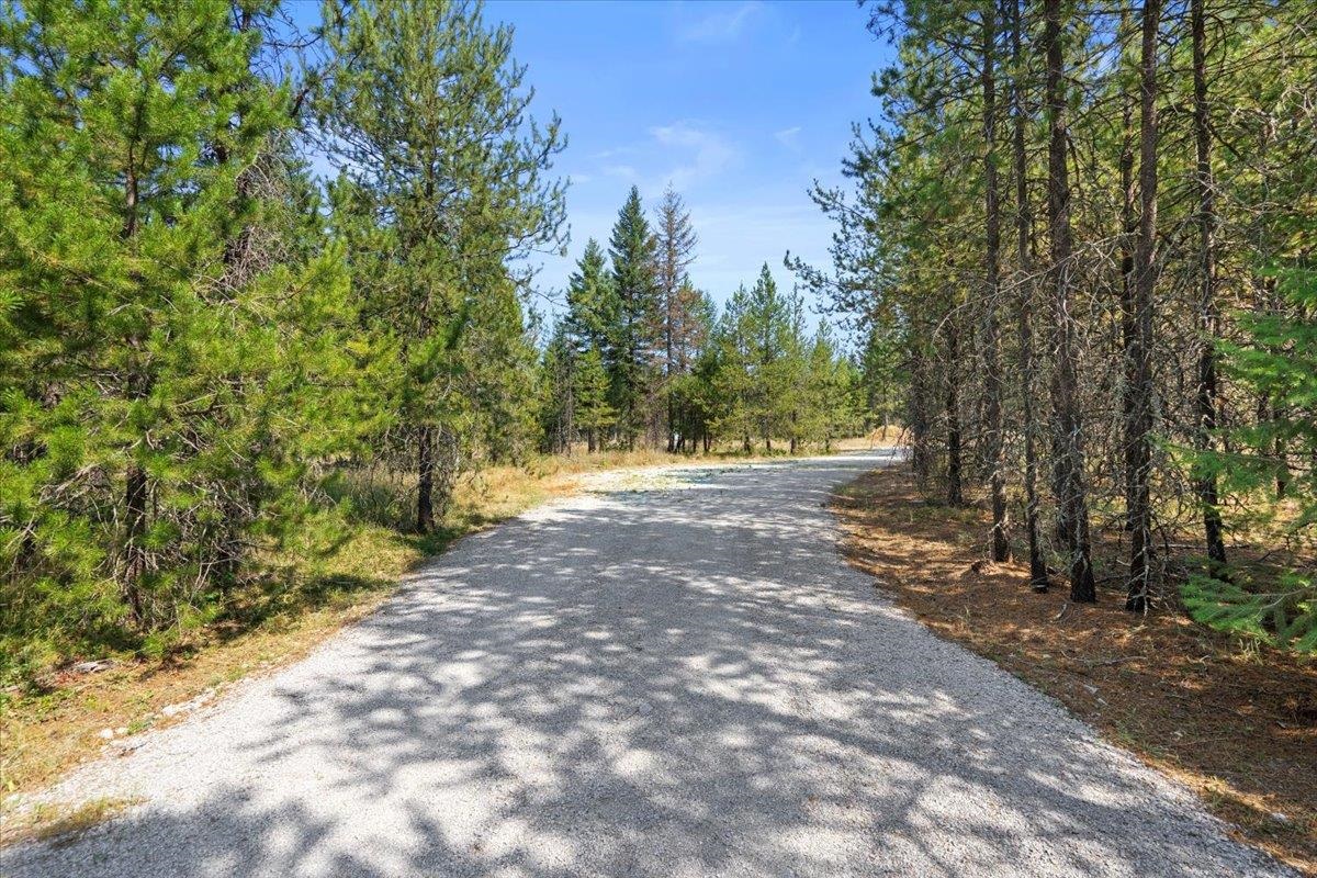 311 BIGFOOT Rd - Photo 22