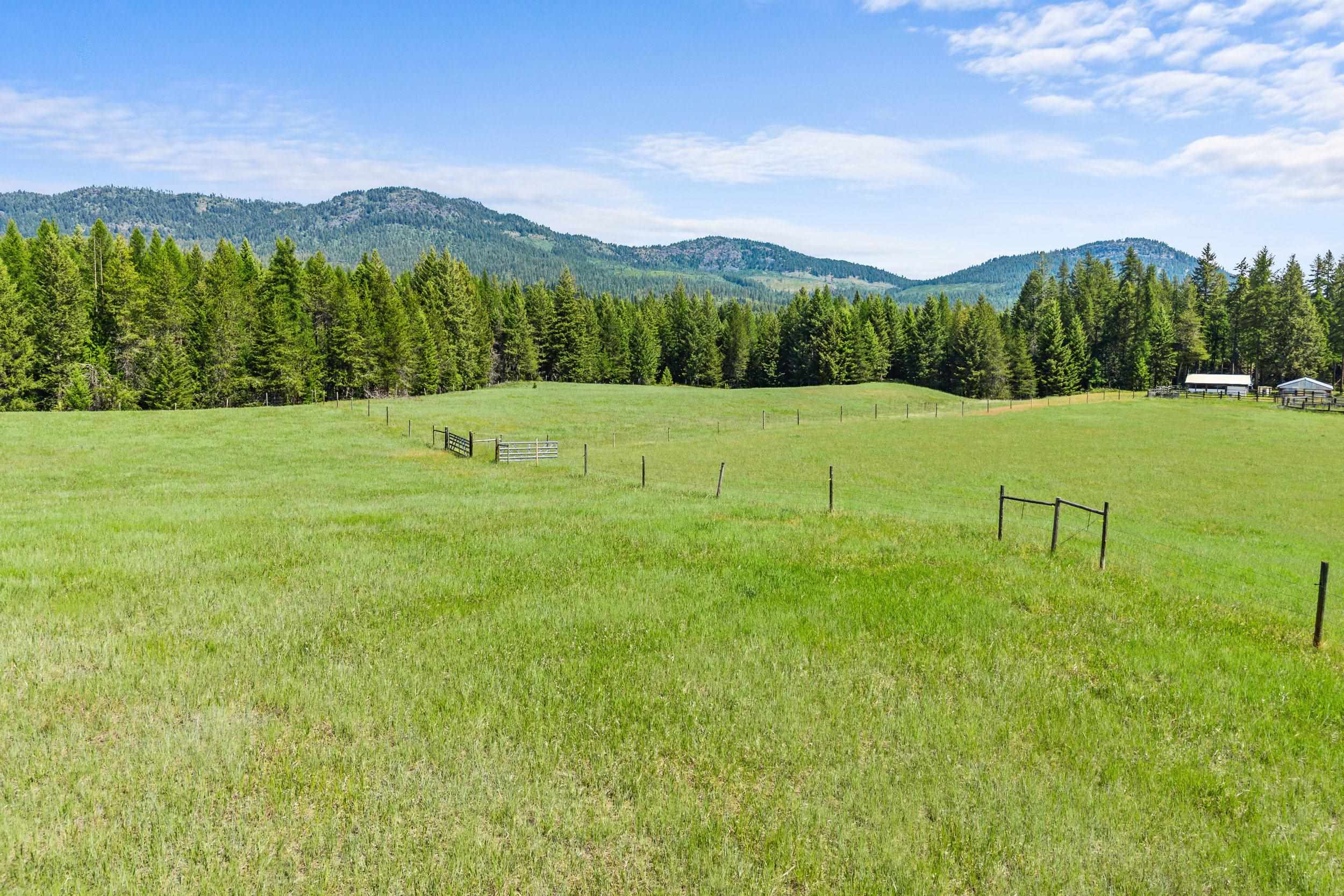 988 Orin Rice Rd - Photo 5