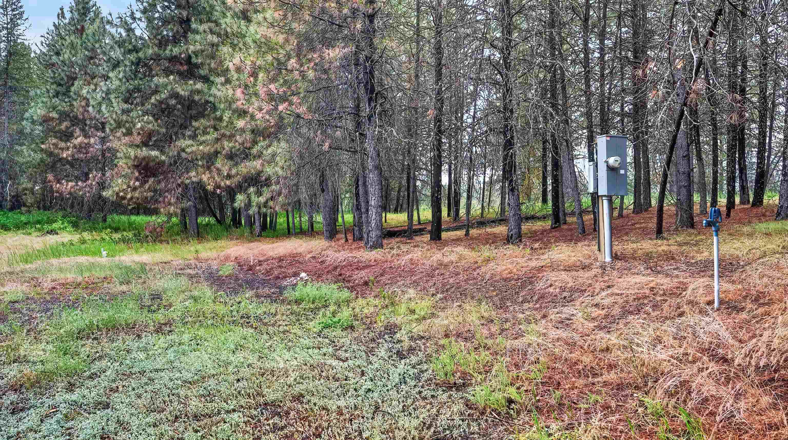 515 W Chattaroy Rd - Photo 47
