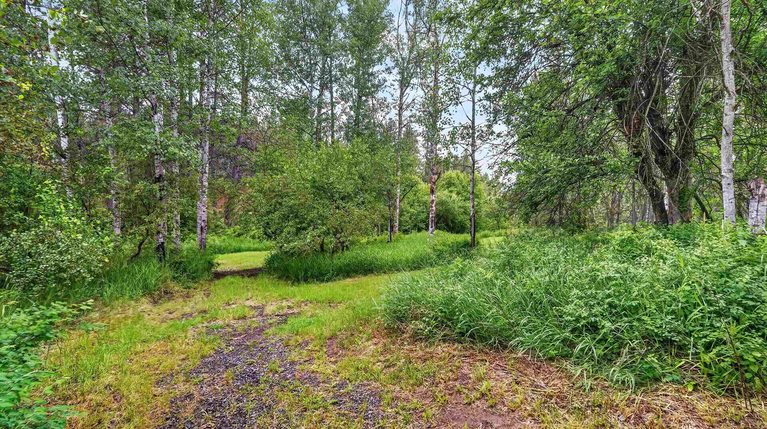 515 W Chattaroy Rd - Photo 39