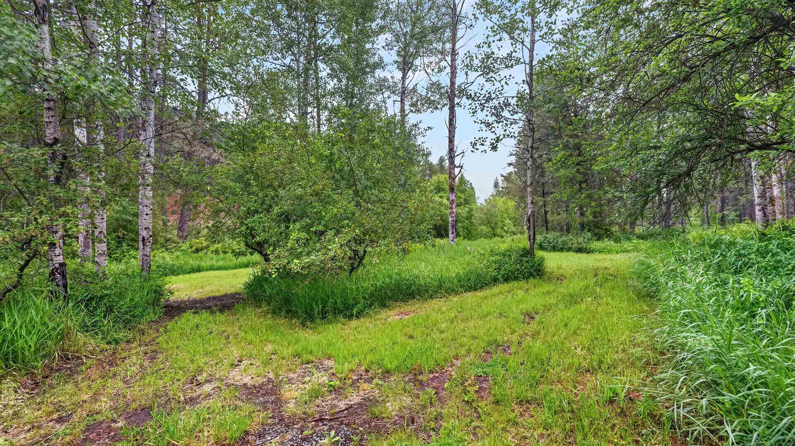 515 W Chattaroy Rd - Photo 40