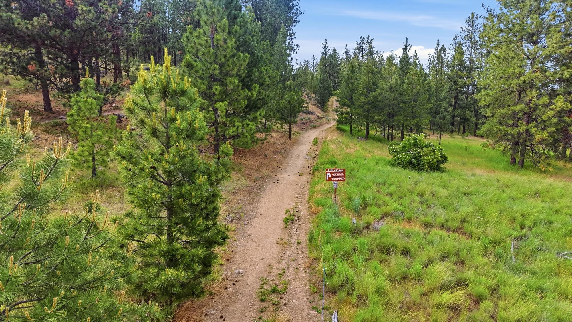 3812 Sunderland Dr - Photo 44