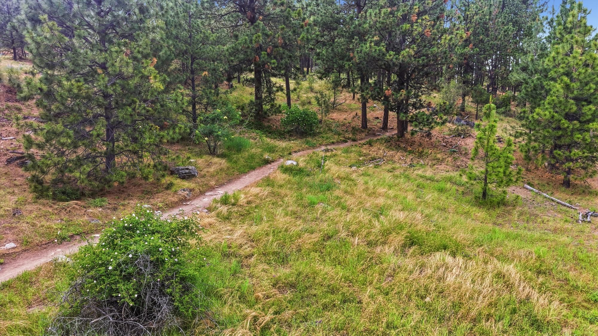 3812 Sunderland Dr - Photo 45