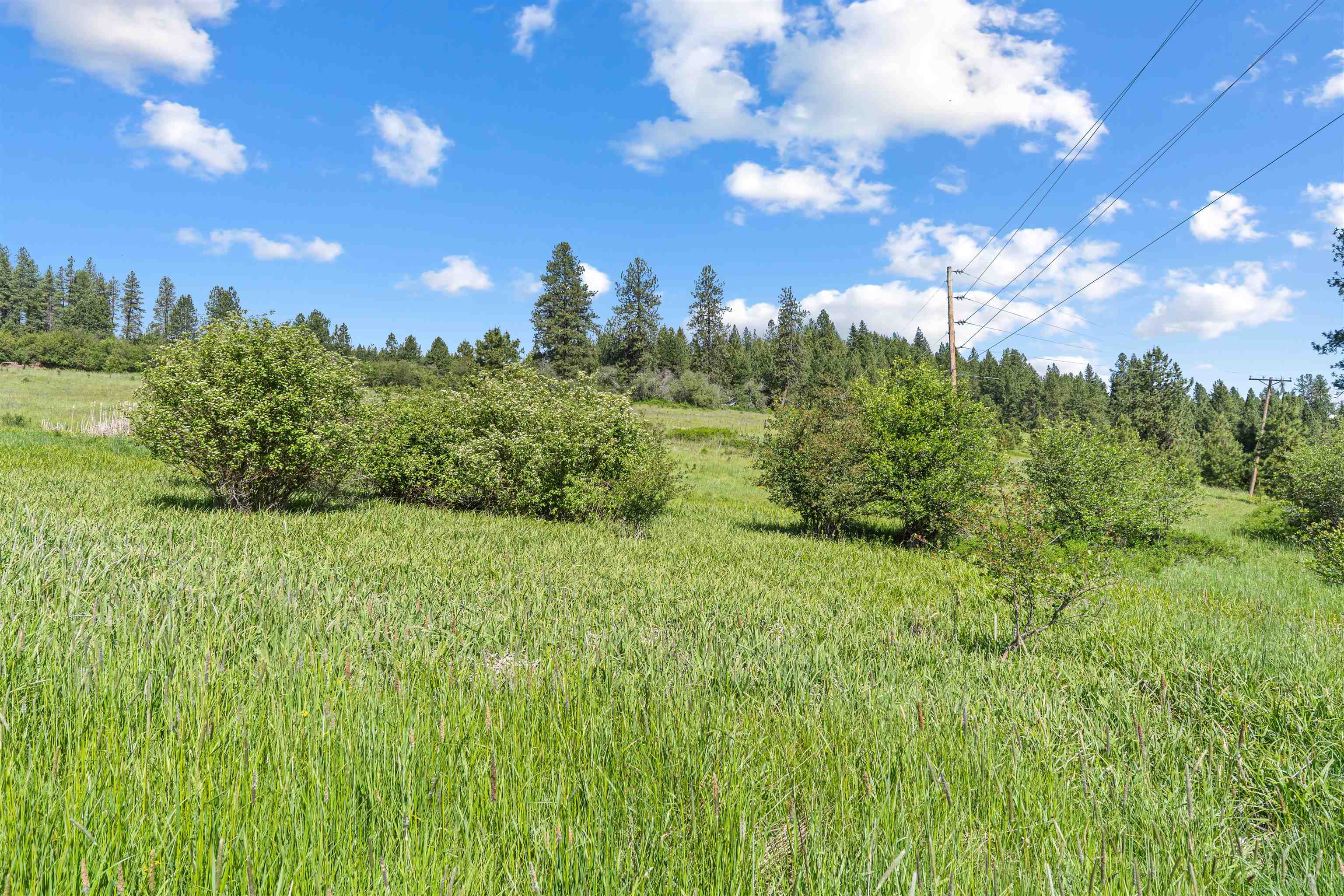 18591 Westside Calispel Rd - Photo 30