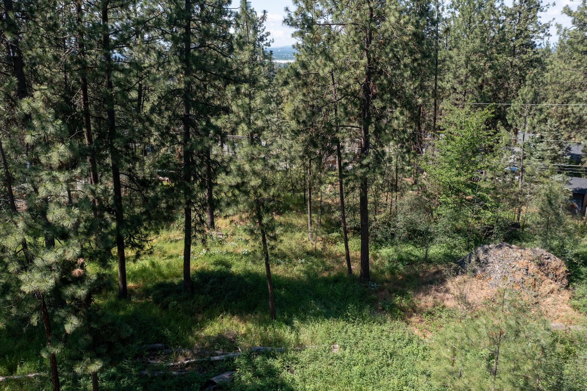 38XX E Ben Burr Blvd - Photo 11