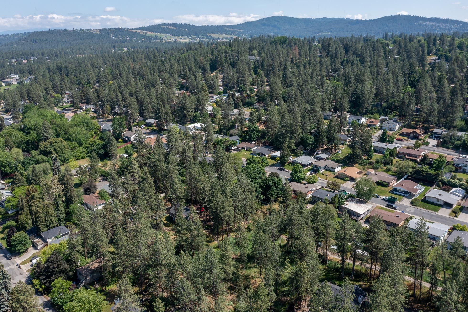 38XX E Ben Burr Blvd - Photo 13