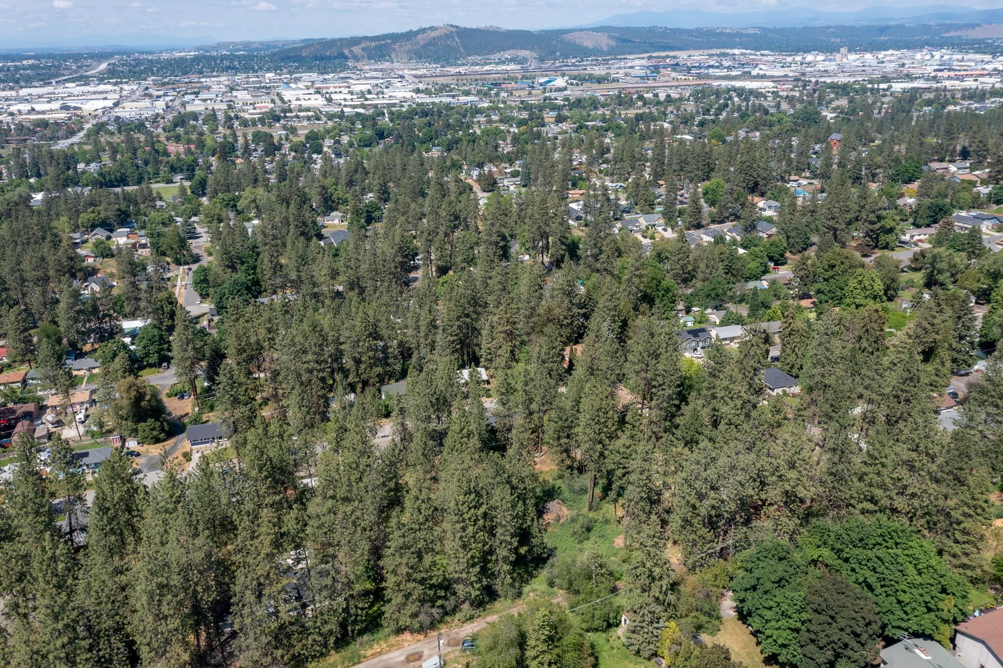 38XX E Ben Burr Blvd - Photo 14