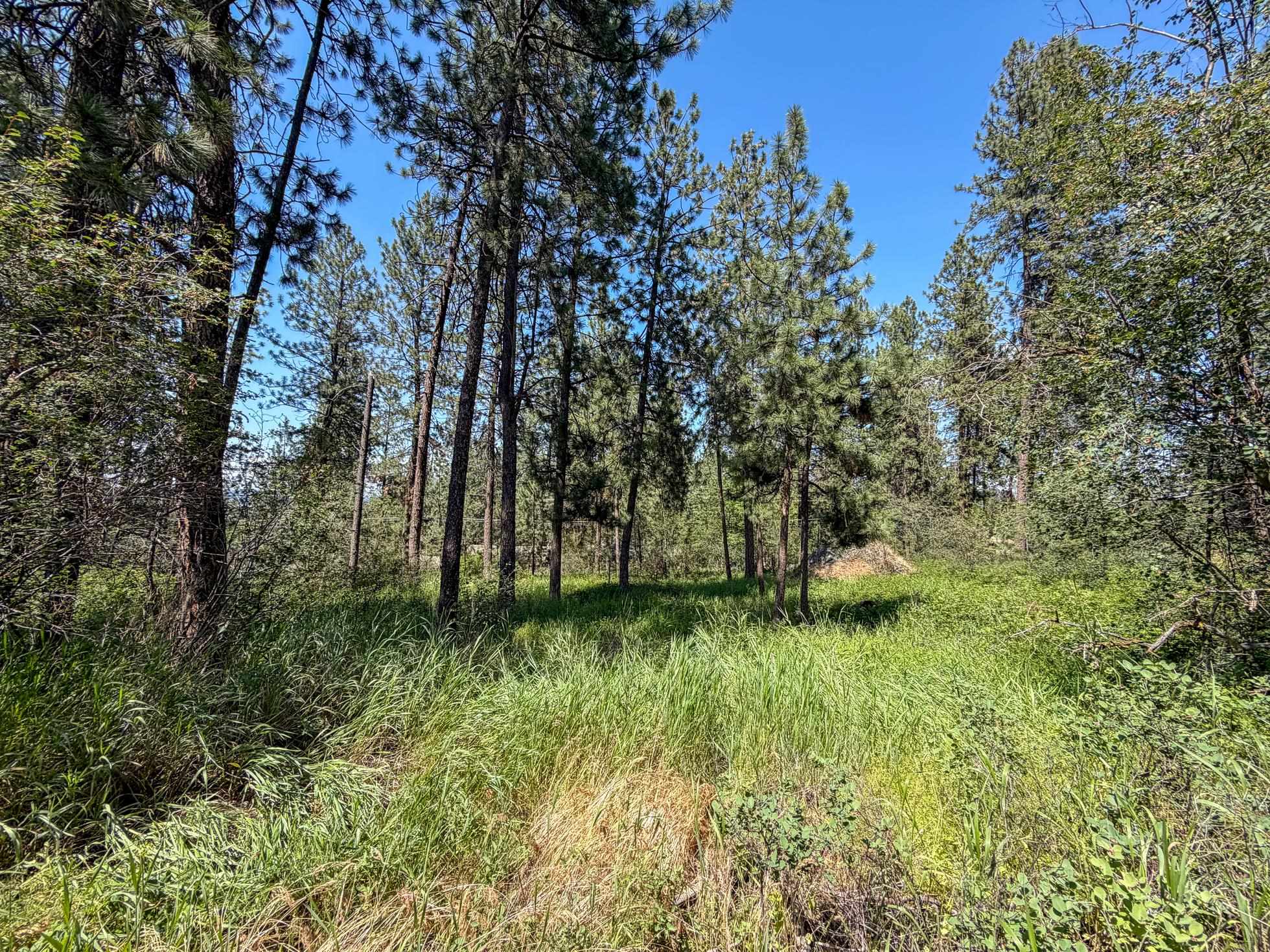 38XX E Ben Burr Blvd - Photo 18