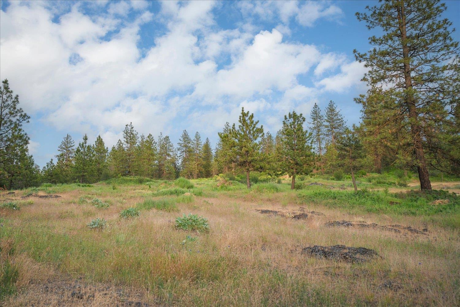 3741 W Grandview Ave - Photo 4