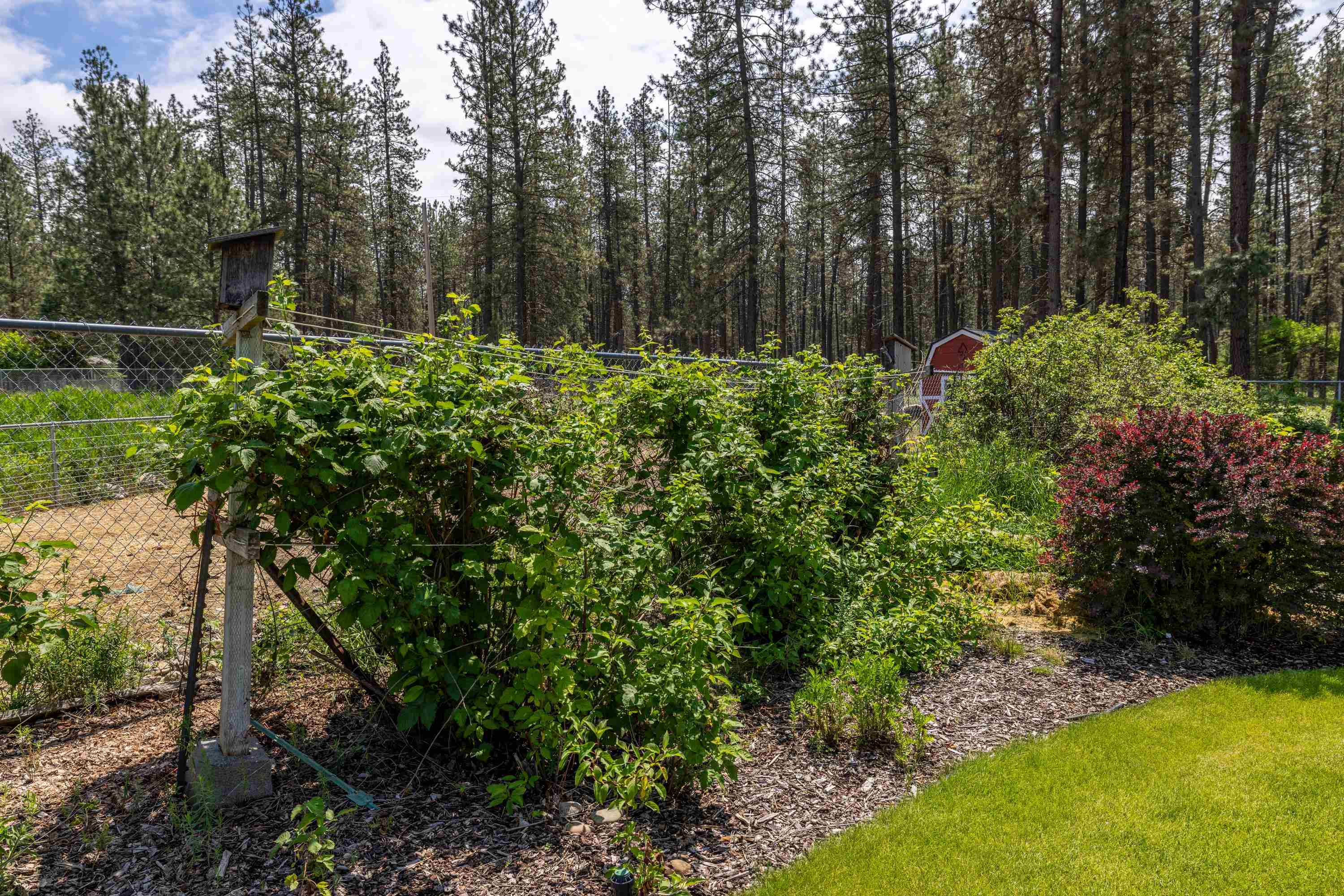 9509 W TORMEY Rd - Photo 36