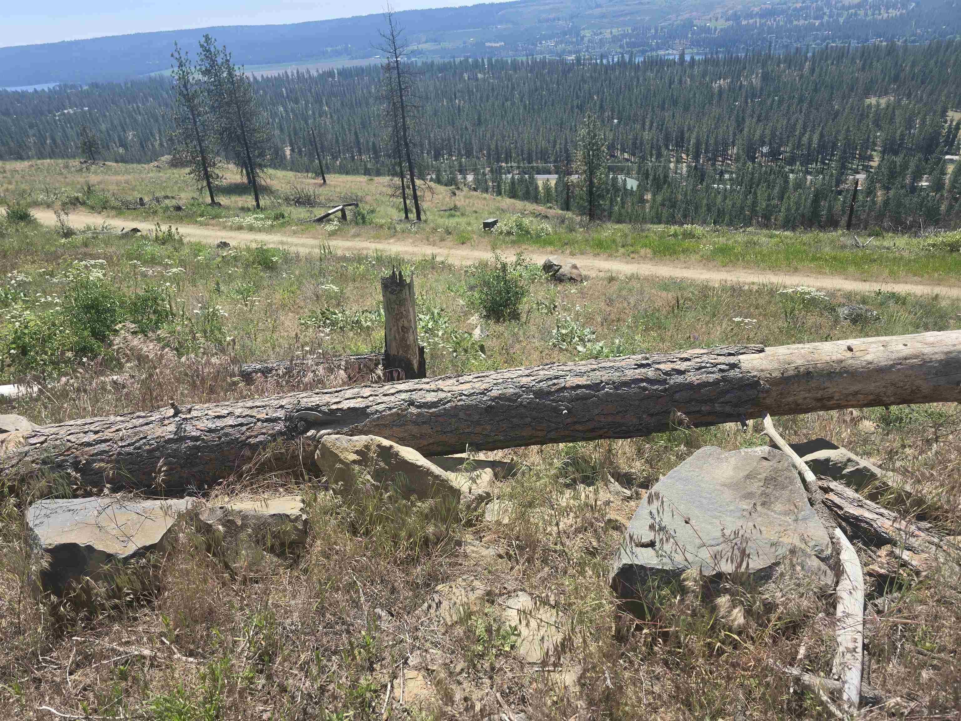 XX Pine Ridge Way - Photo 29