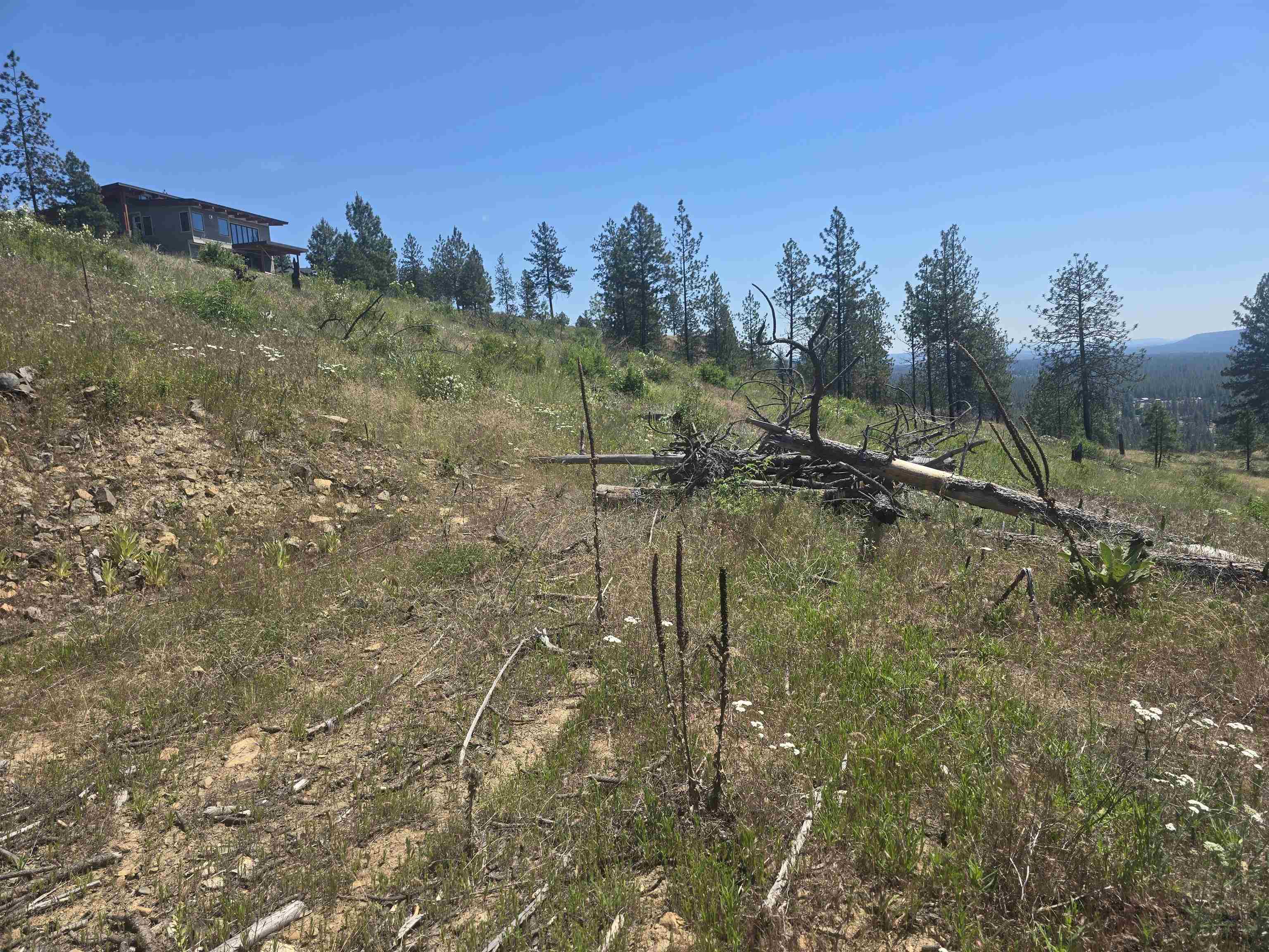 XX Pine Ridge Way - Photo 30