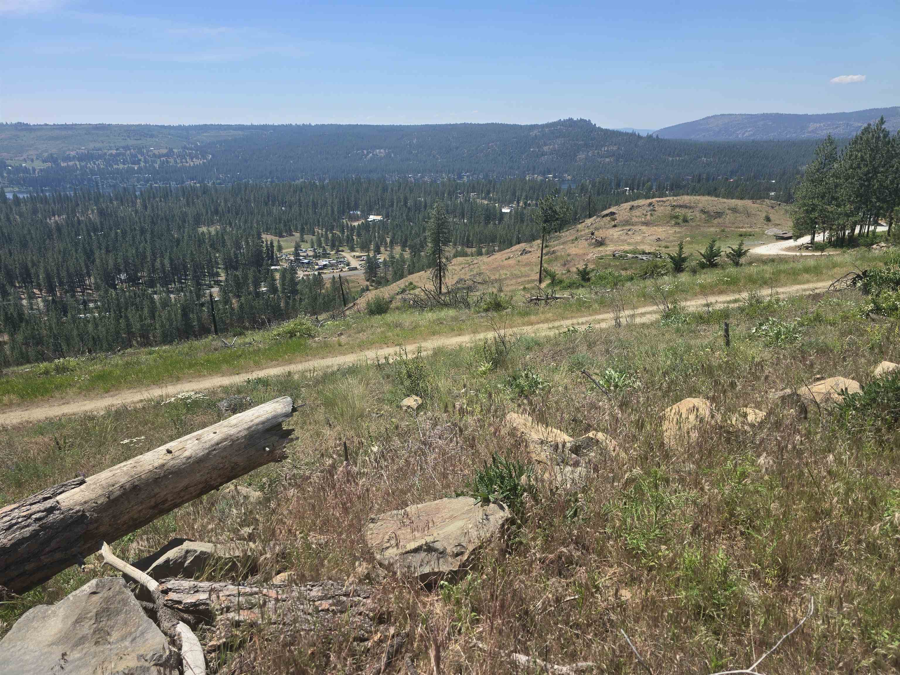 XX Pine Ridge Way - Photo 31