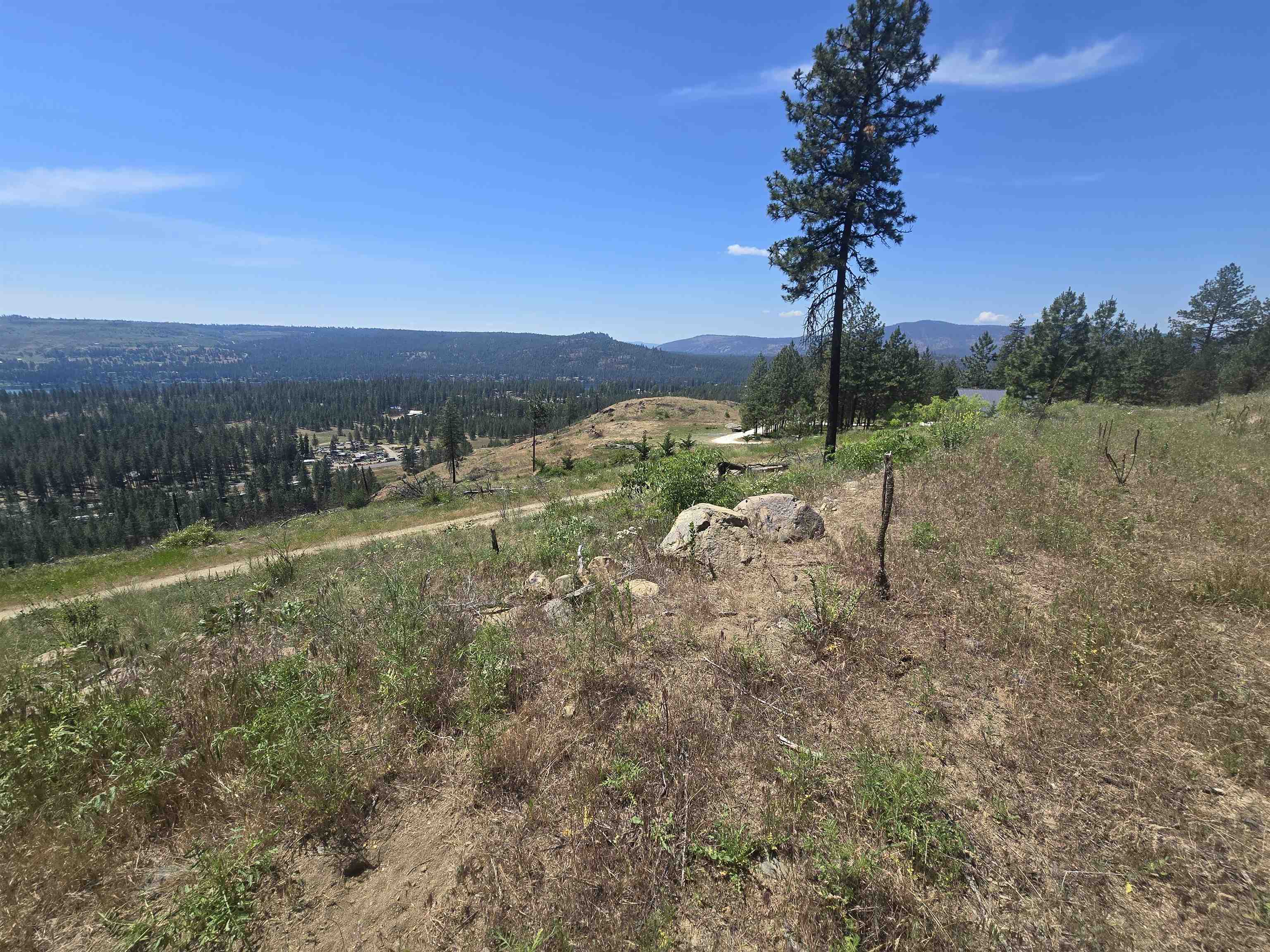 XX Pine Ridge Way - Photo 33