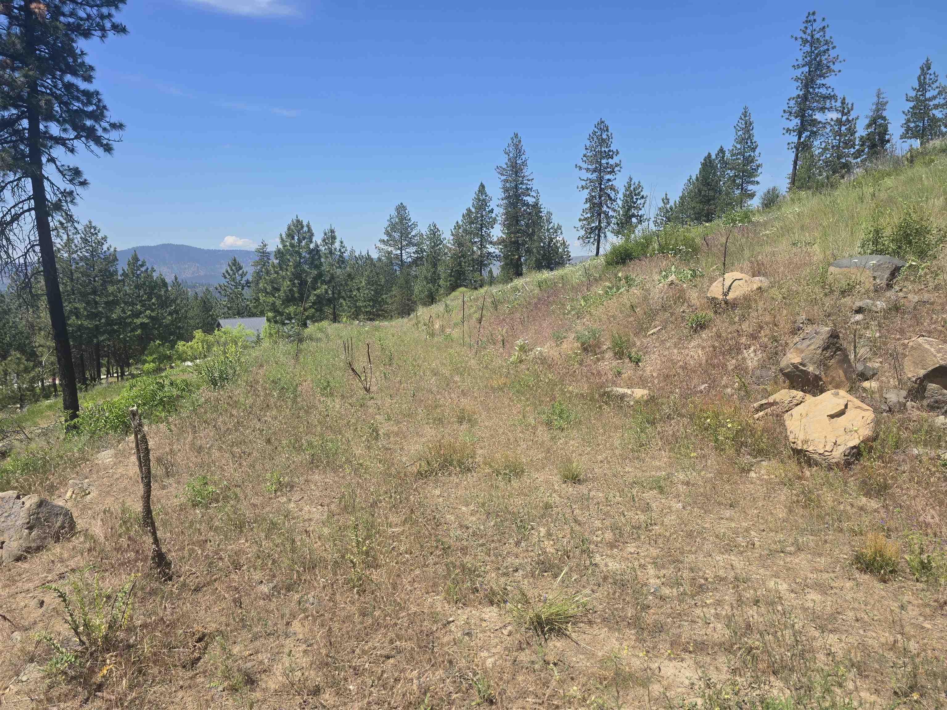 XX Pine Ridge Way - Photo 34