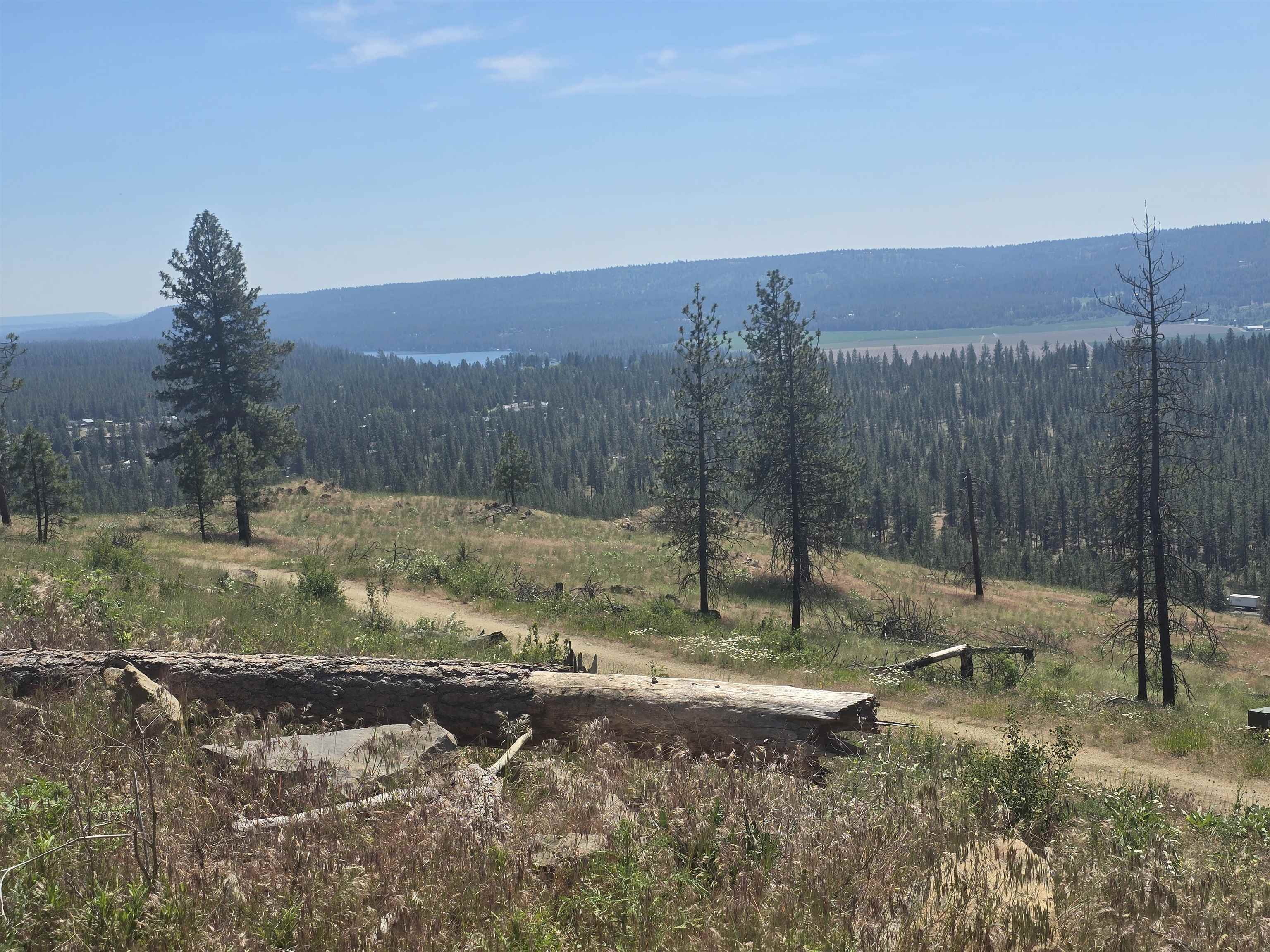 XX Pine Ridge Way - Photo 37