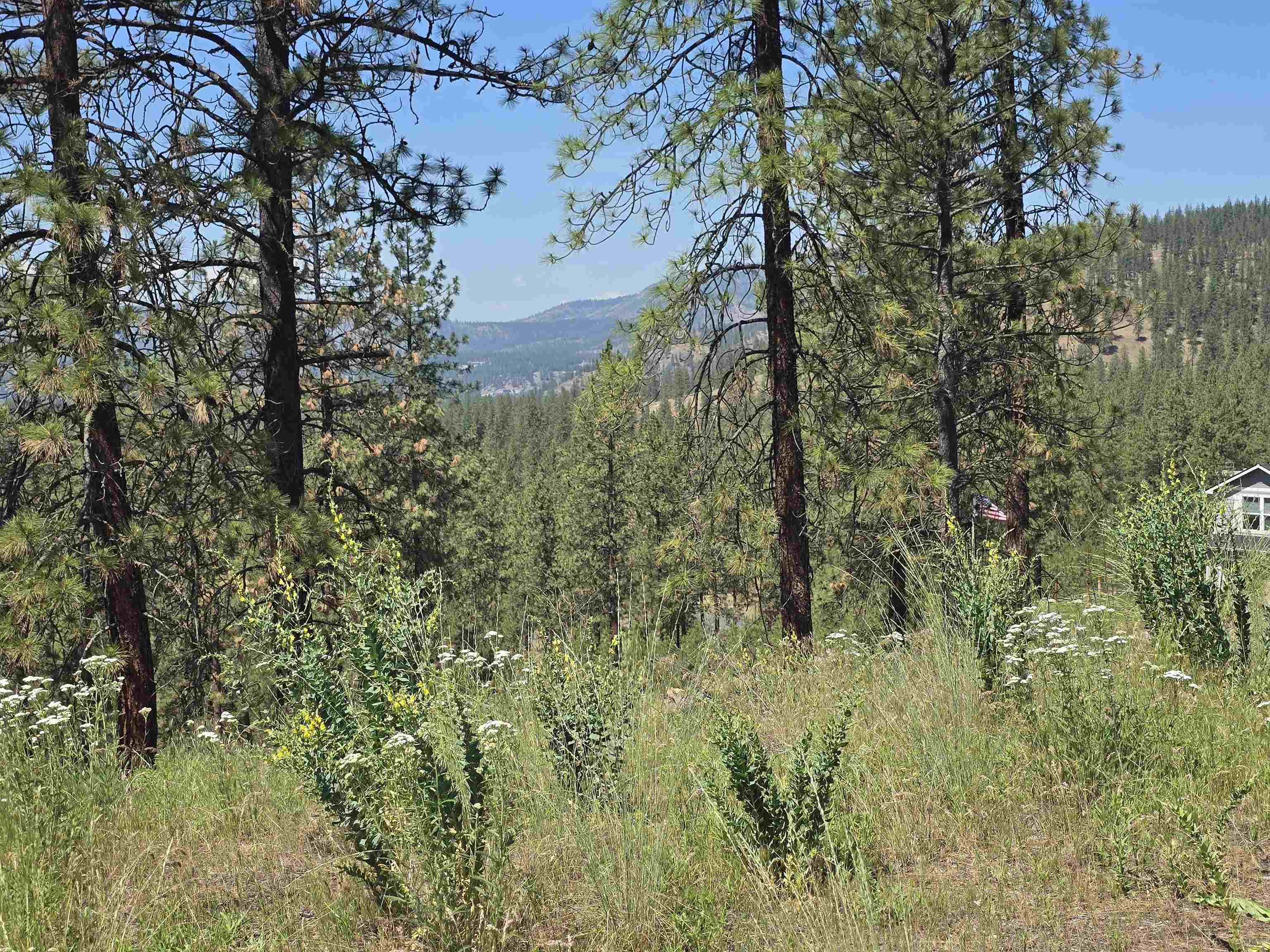 6499 Syringa Way - Photo 23