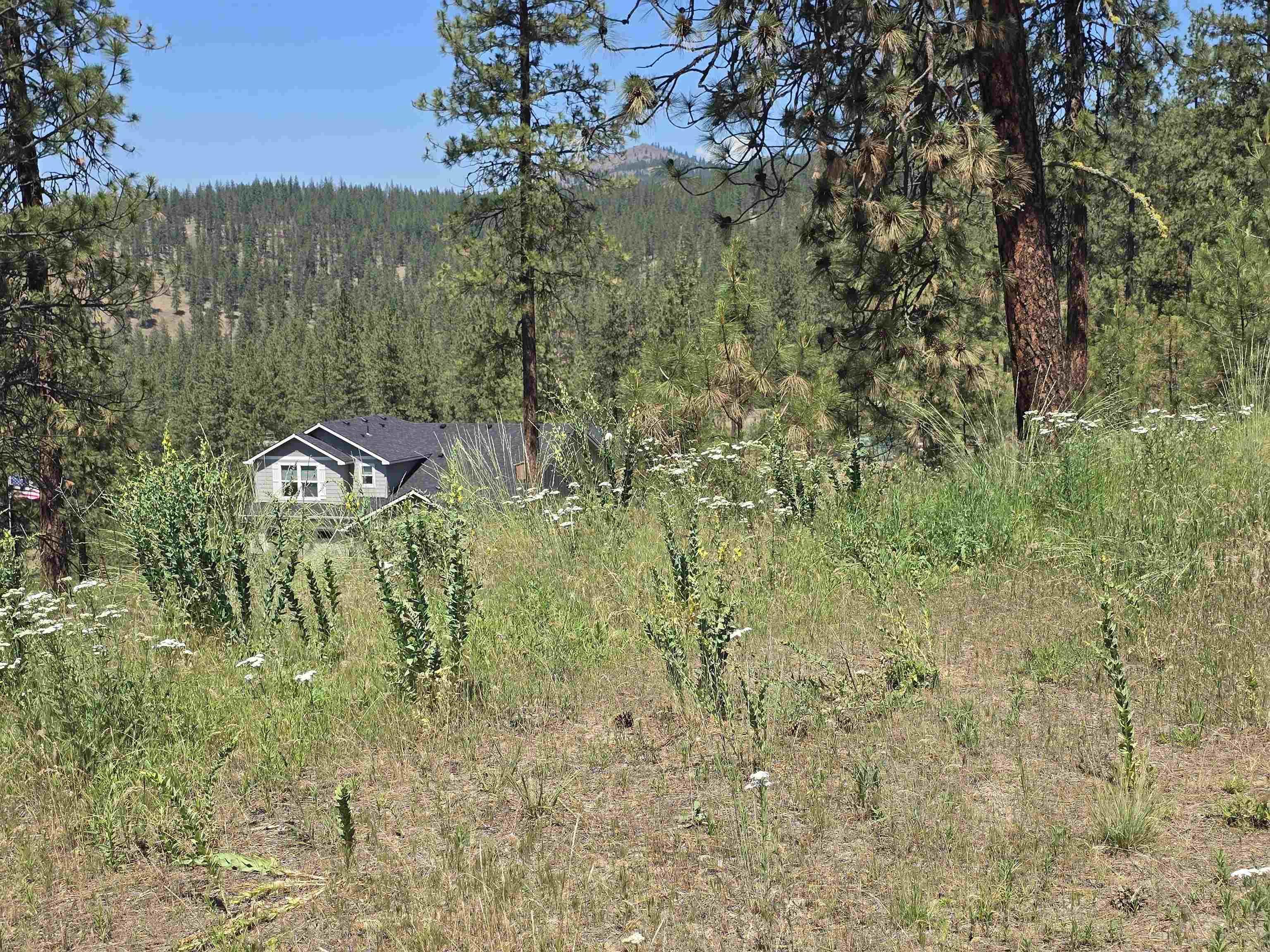 6499 Syringa Way - Photo 24