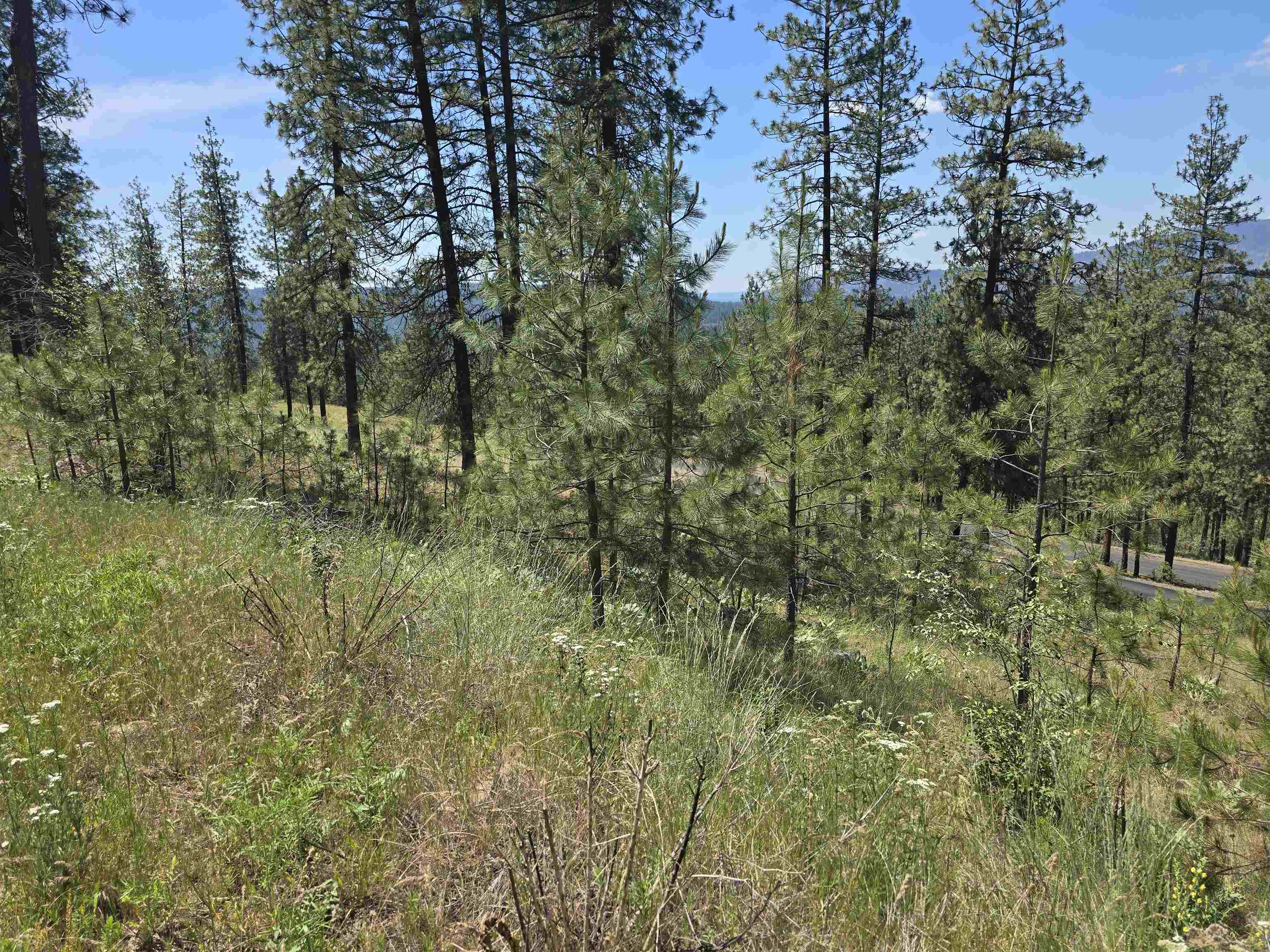 6499 Syringa Way - Photo 27