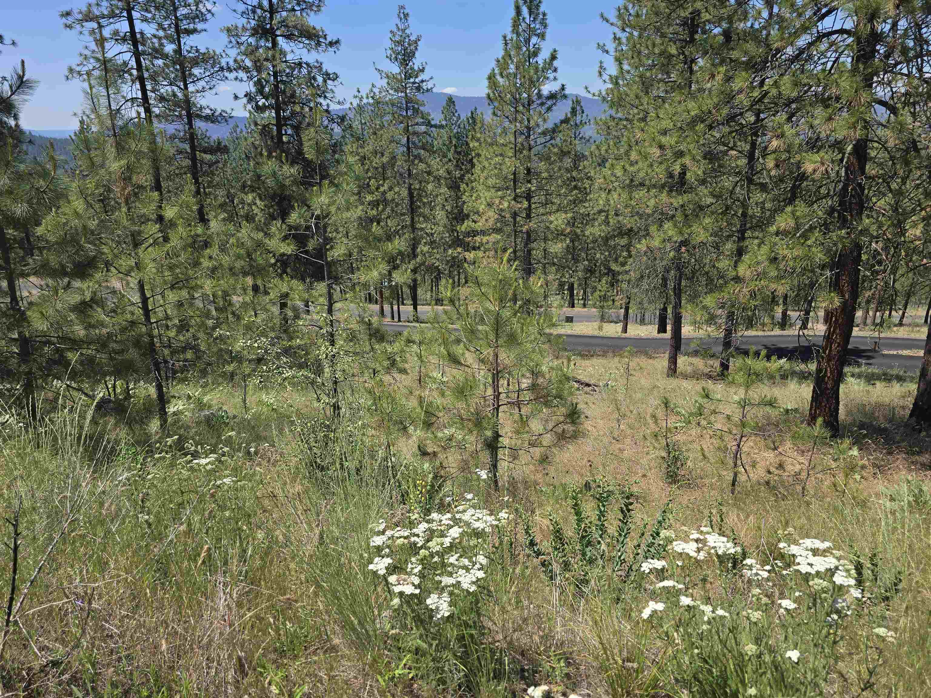 6499 Syringa Way - Photo 28