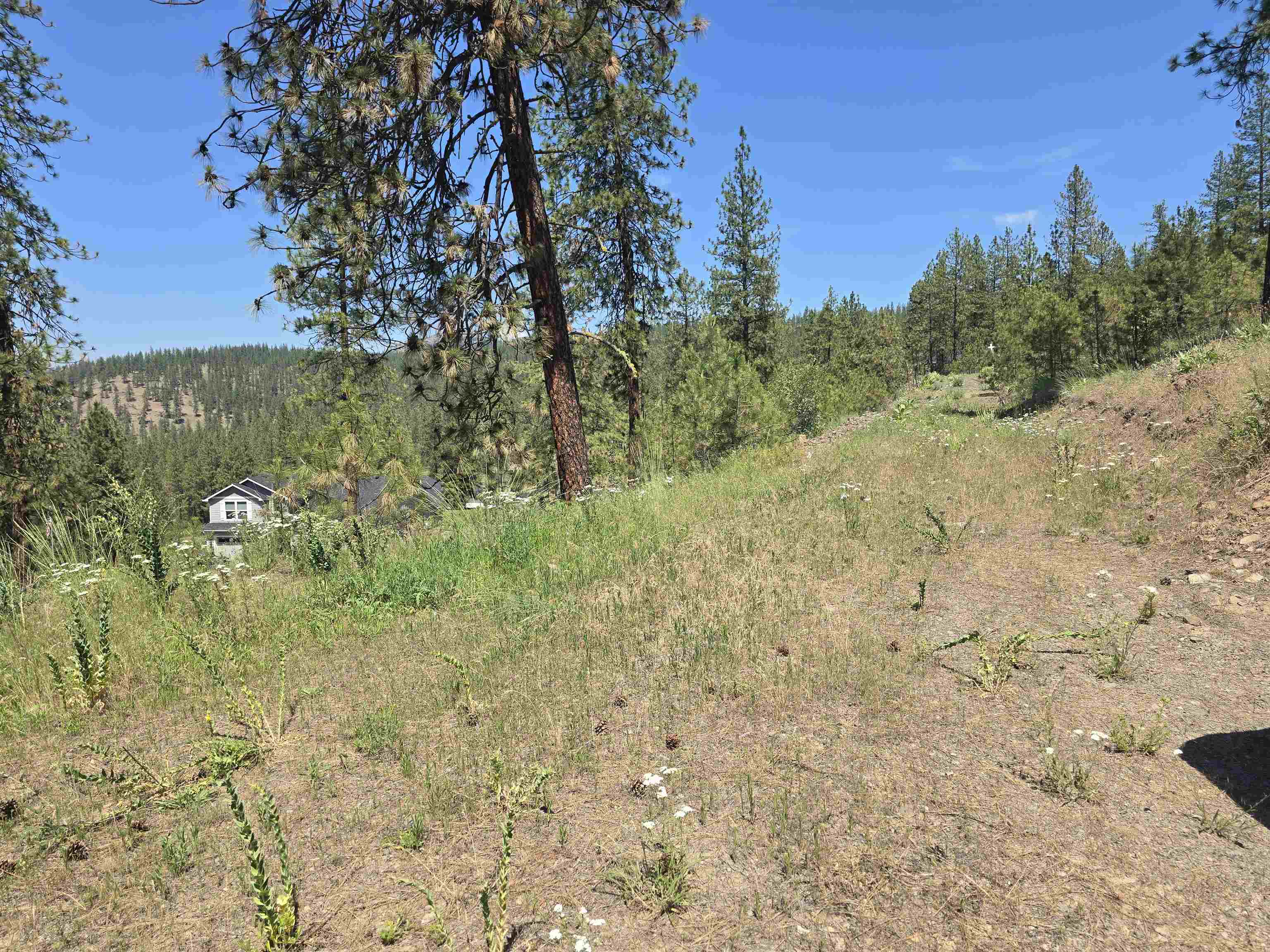 6499 Syringa Way - Photo 29