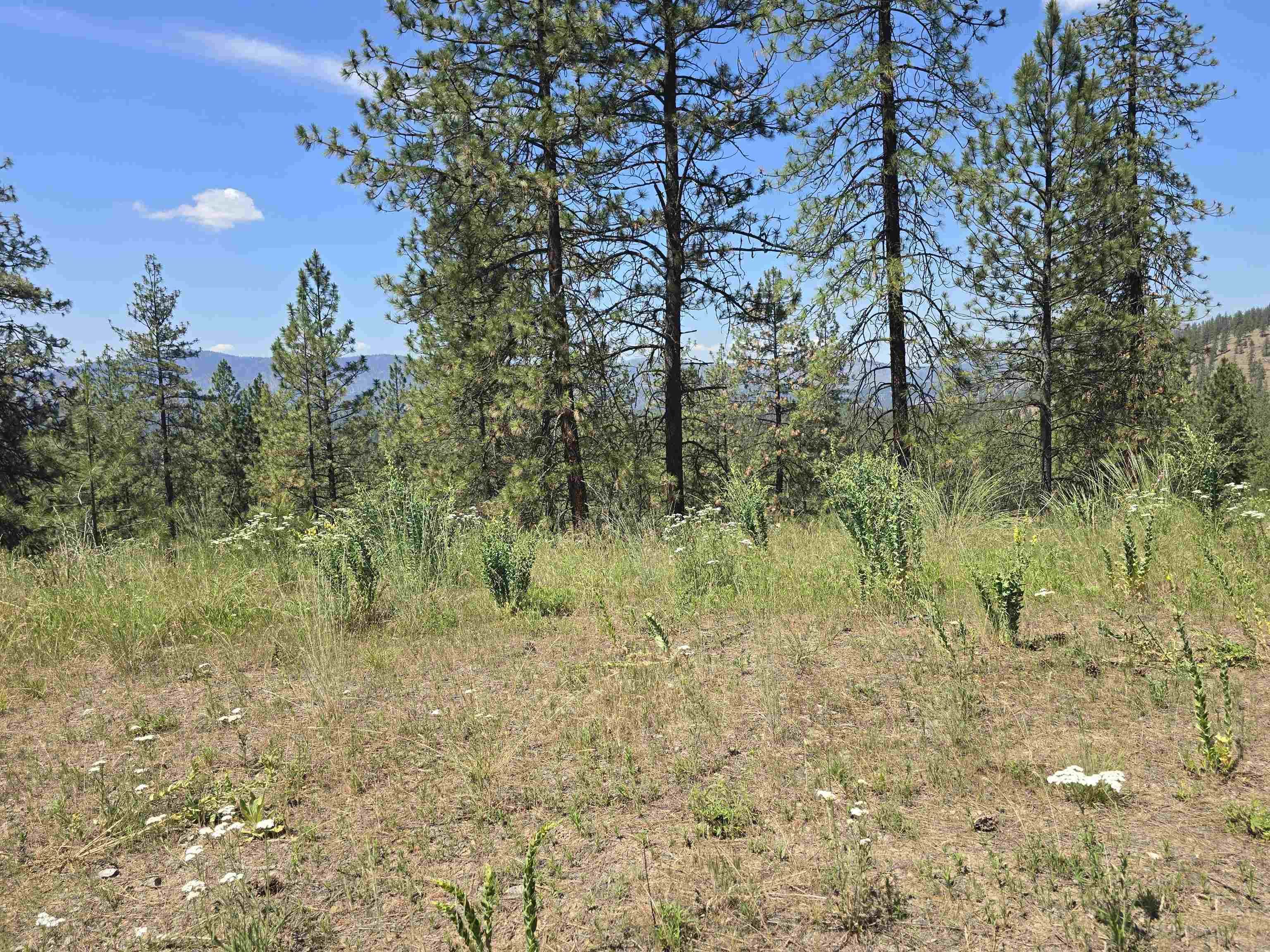 6499 Syringa Way - Photo 30
