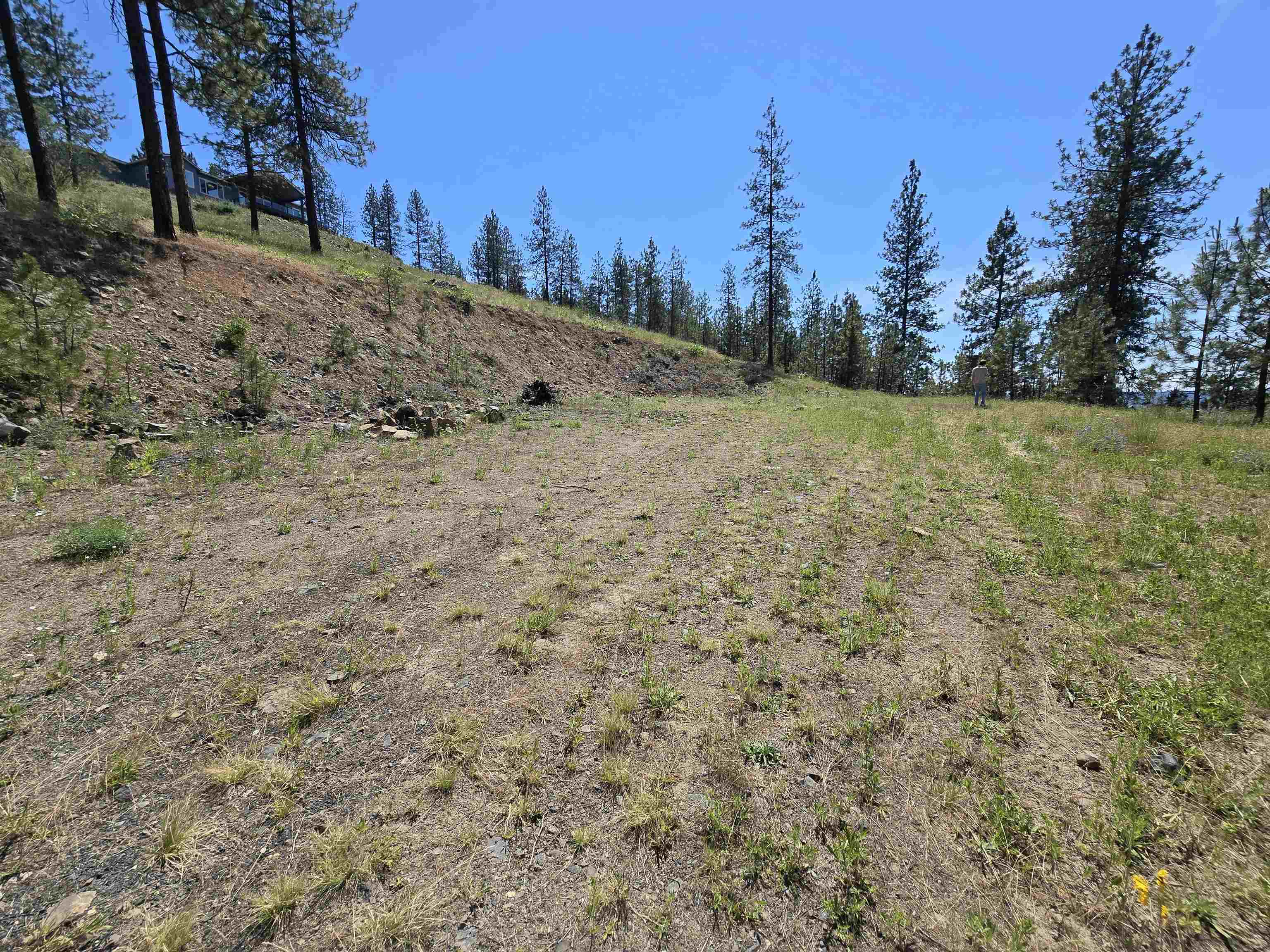 XX Syringa Way - Photo 39