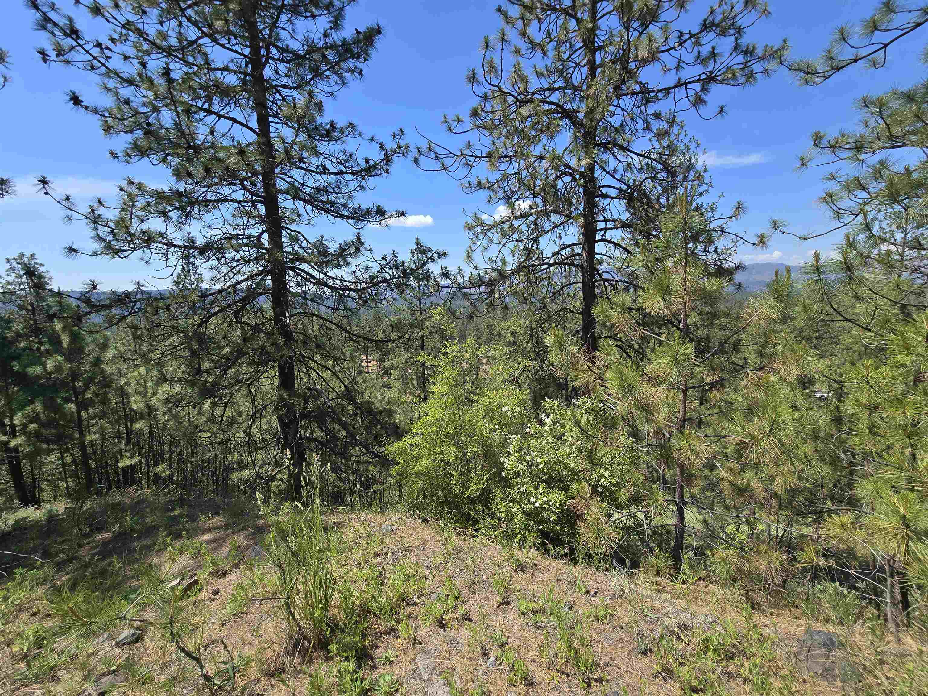 XX Syringa Way - Photo 45