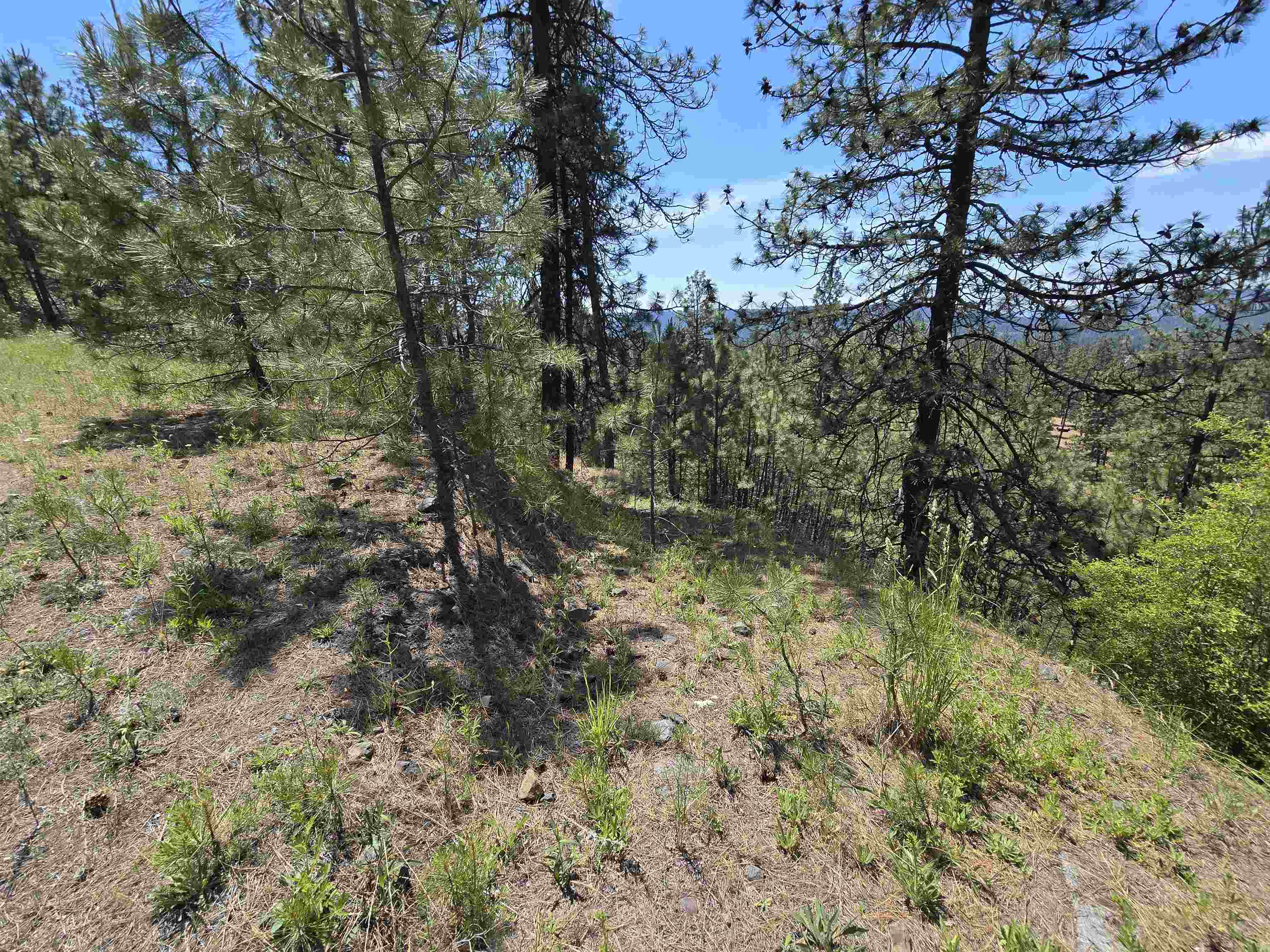 XX Syringa Way - Photo 46