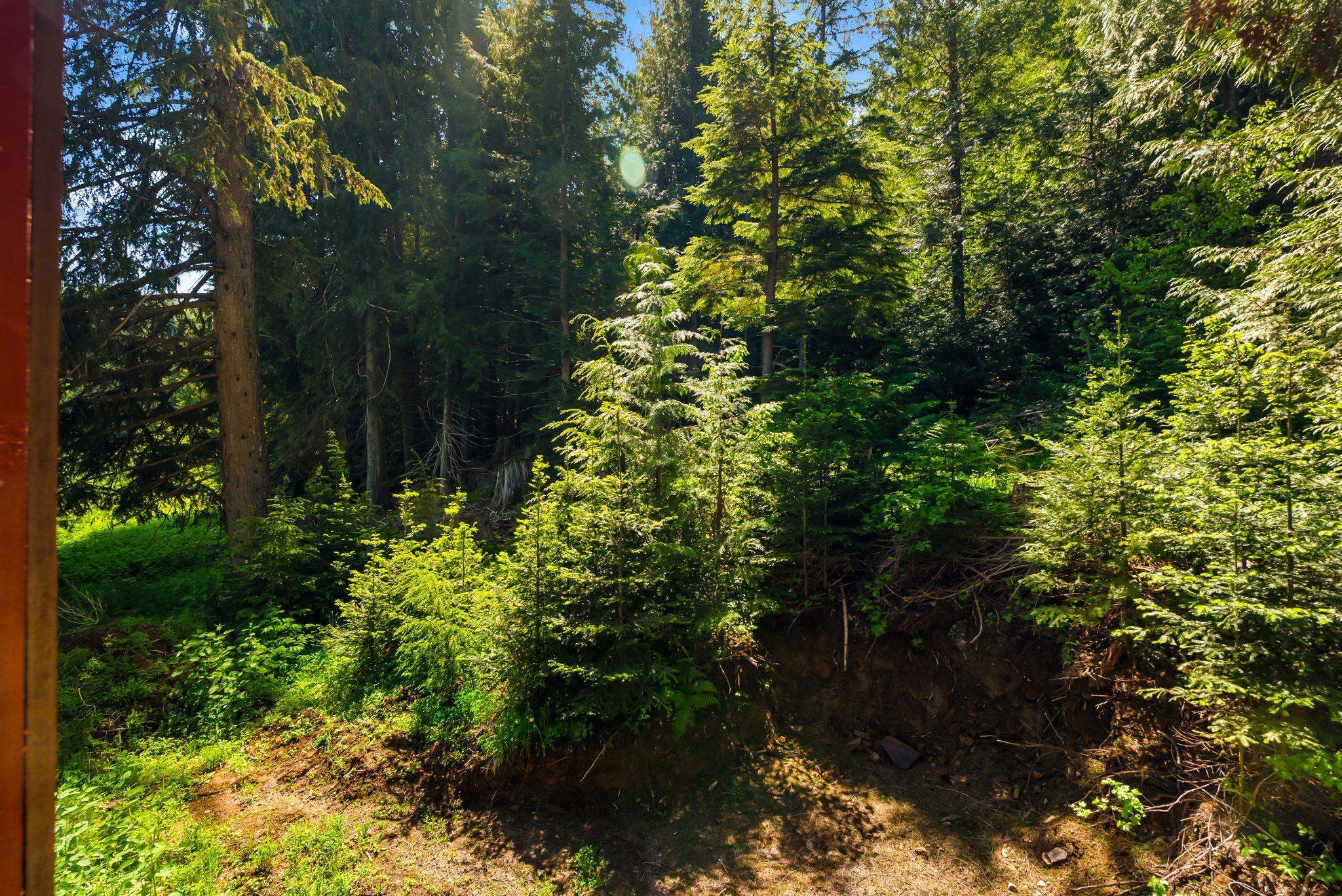 2502 Greenhood Rd - Photo 49