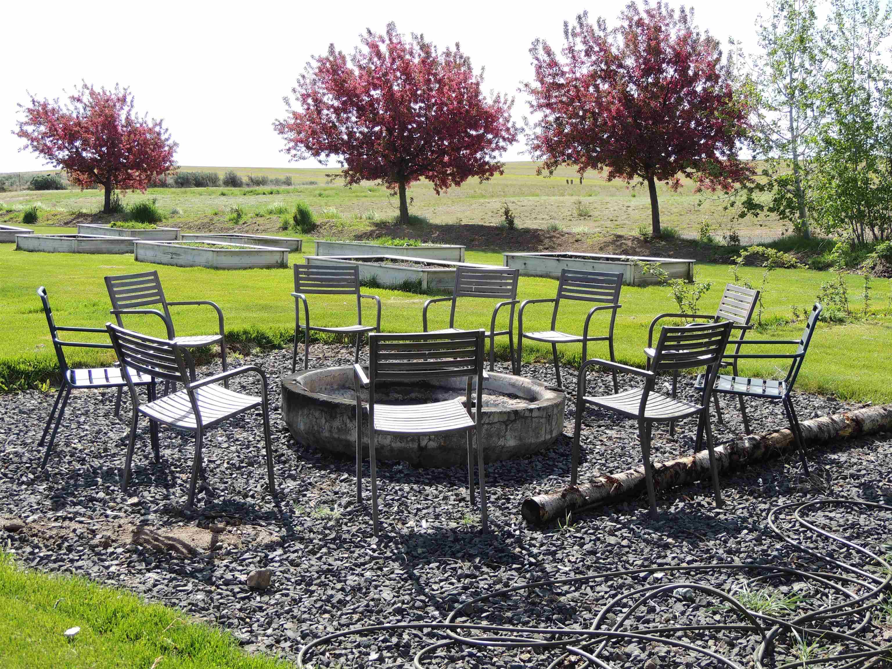 38250 Fitness Ln. E - Photo 9