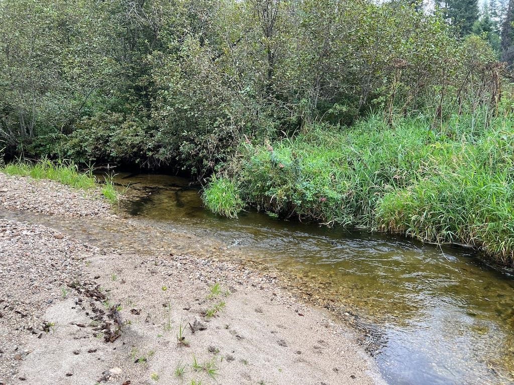 NKA Soggy Bottom Ln - Photo 1