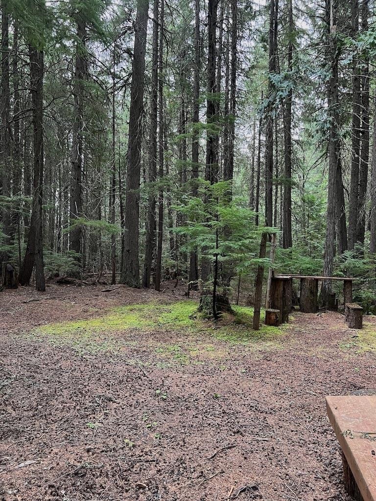 NKA Soggy Bottom Ln - Photo 3