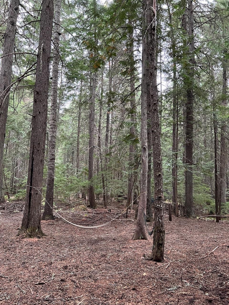 NKA Soggy Bottom Ln - Photo 6