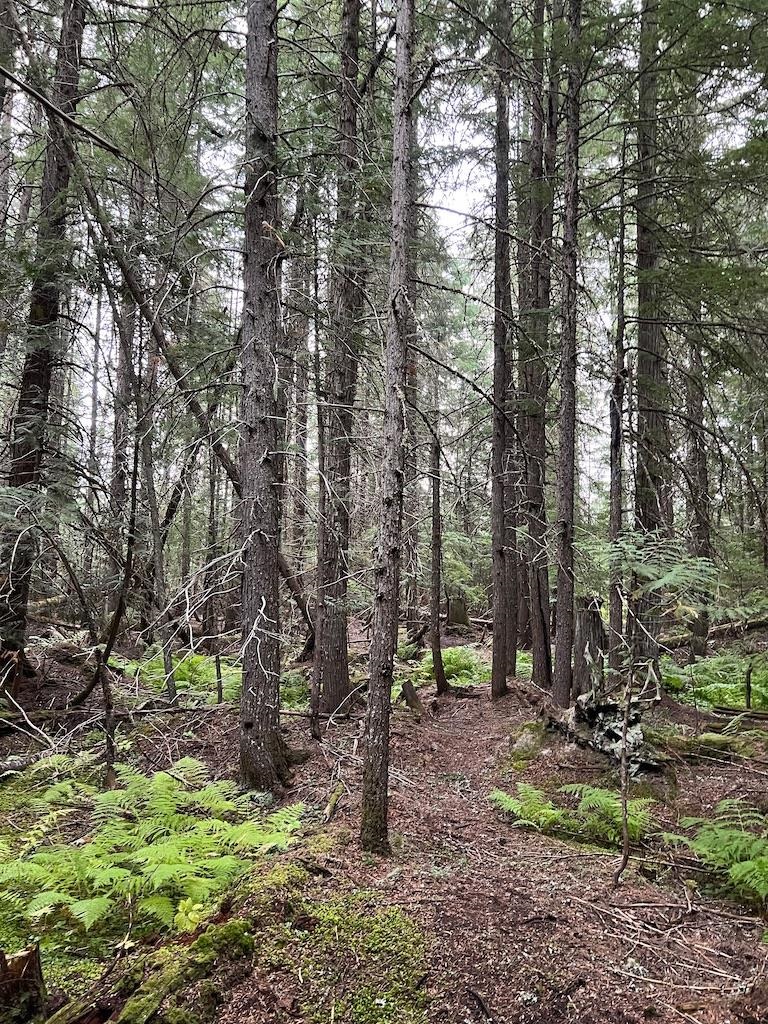 NKA Soggy Bottom Ln - Photo 7