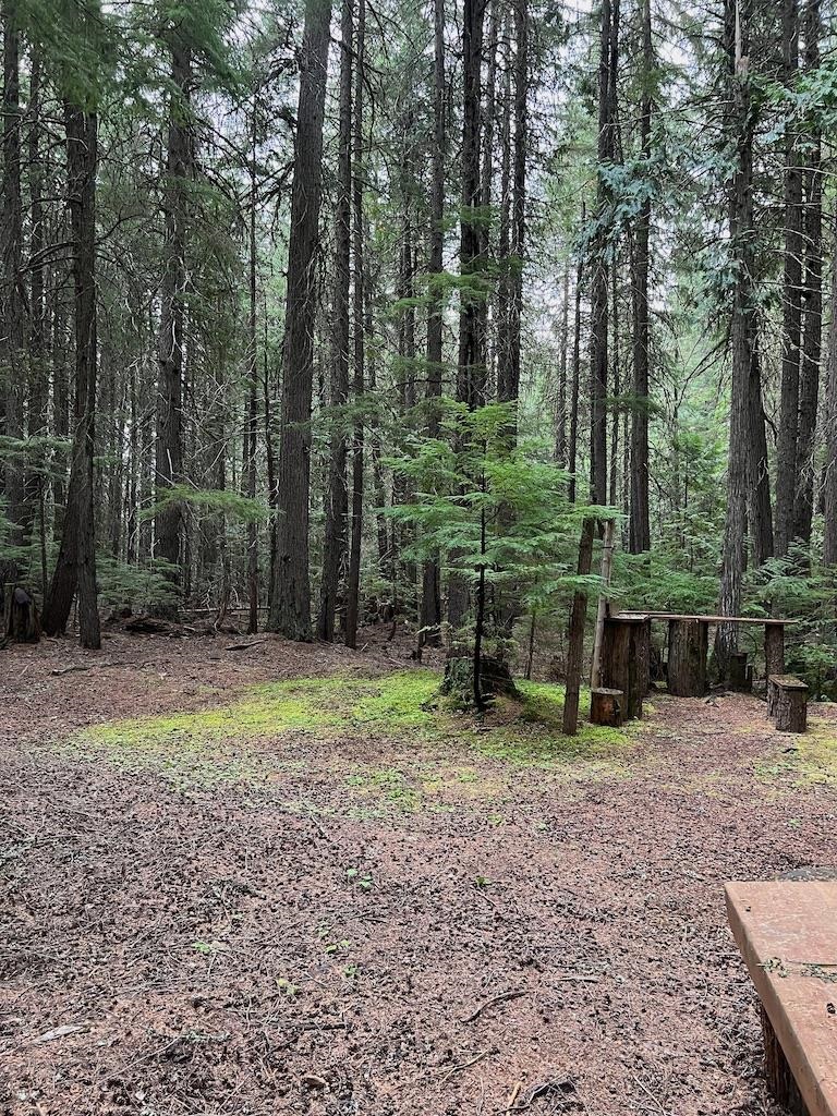 NKA Soggy Bottom Ln - Photo 8