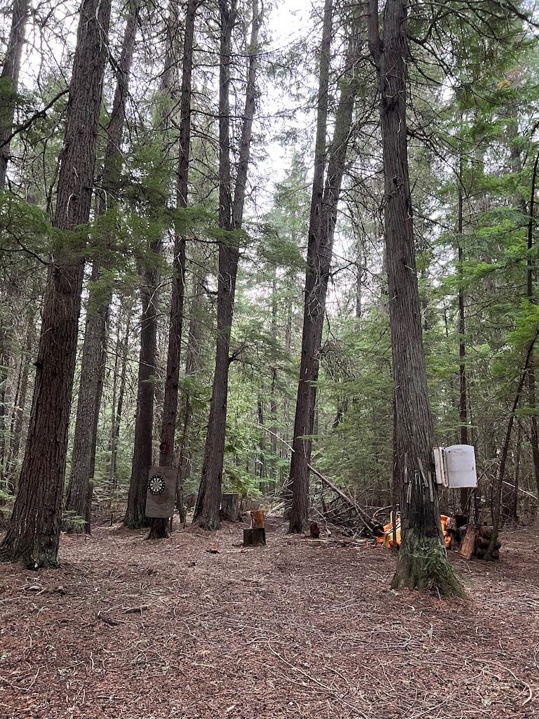 NKA Soggy Bottom Ln - Photo 9