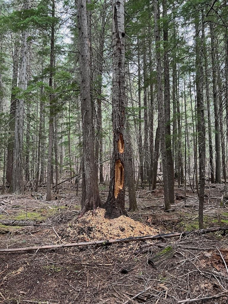 NKA Soggy Bottom Ln - Photo 10
