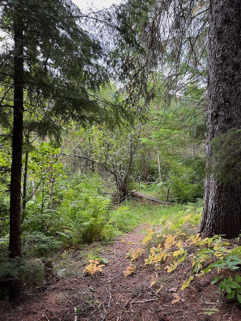 NKA Soggy Bottom Ln - Photo 16