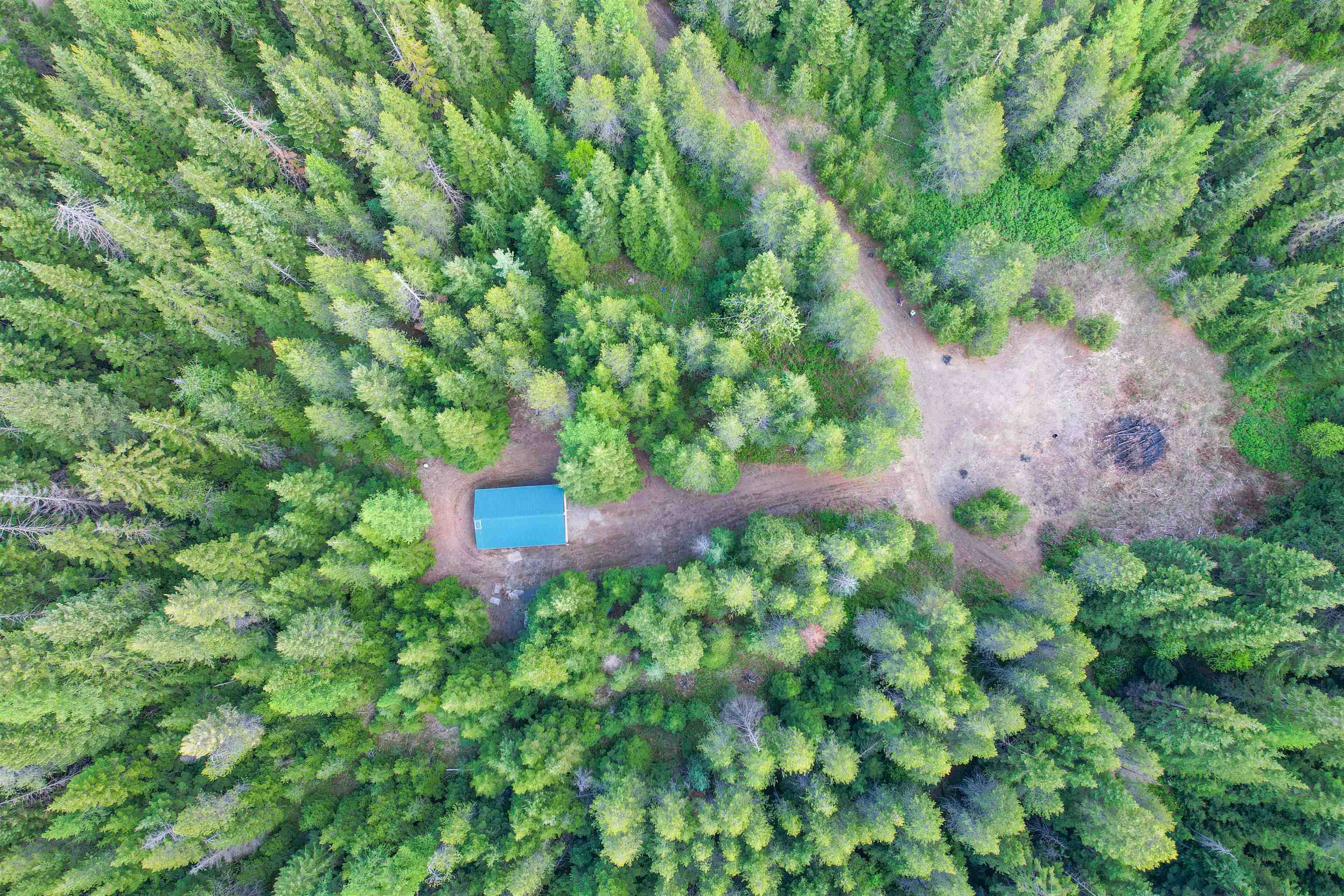 552 Forgotten Trail Rd - Photo 11