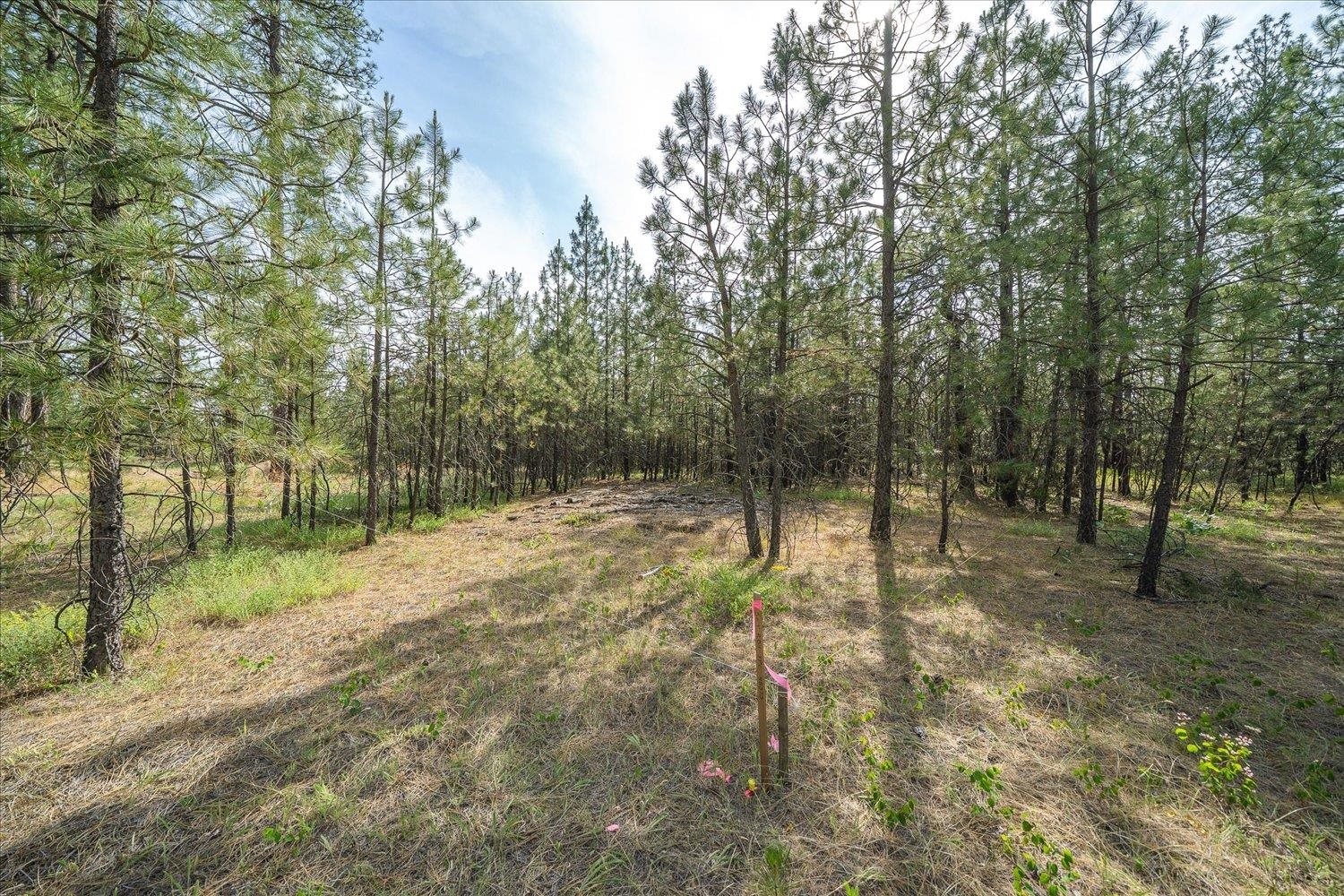 5123 E Chattaroy Rd - Photo 8