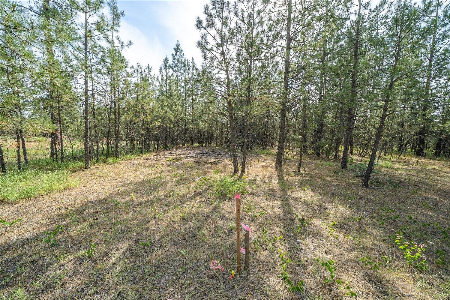 5123 E Chattaroy Rd - Photo 9