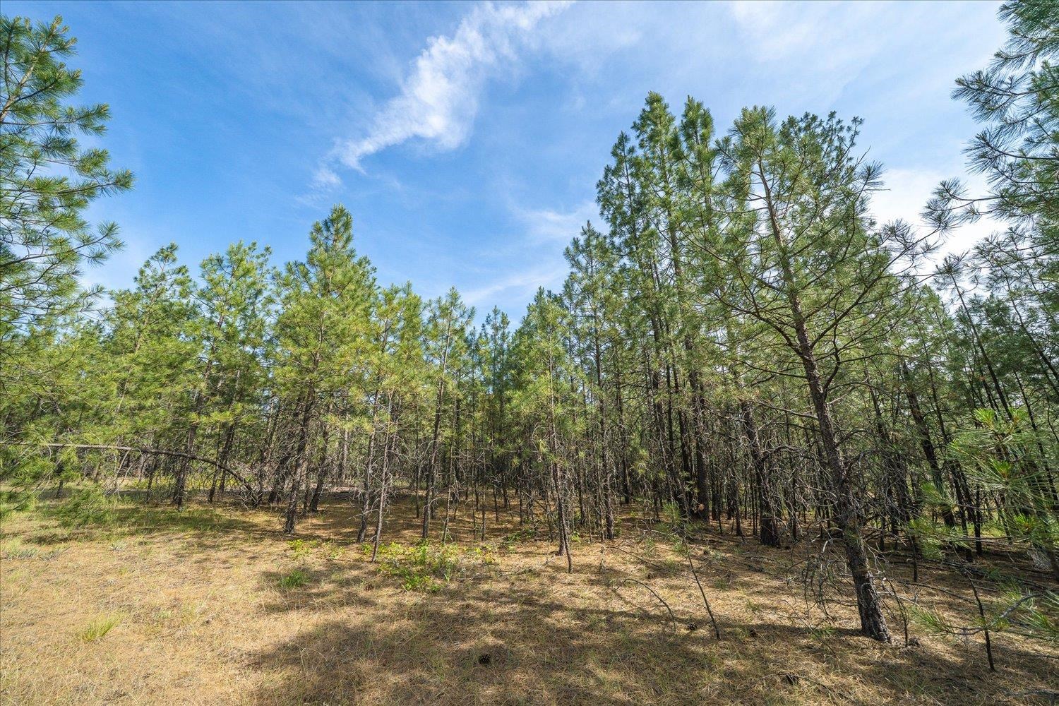 5123 E Chattaroy Rd - Photo 10