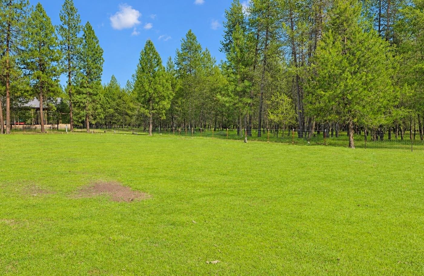 4332 Airport Way - Photo 9