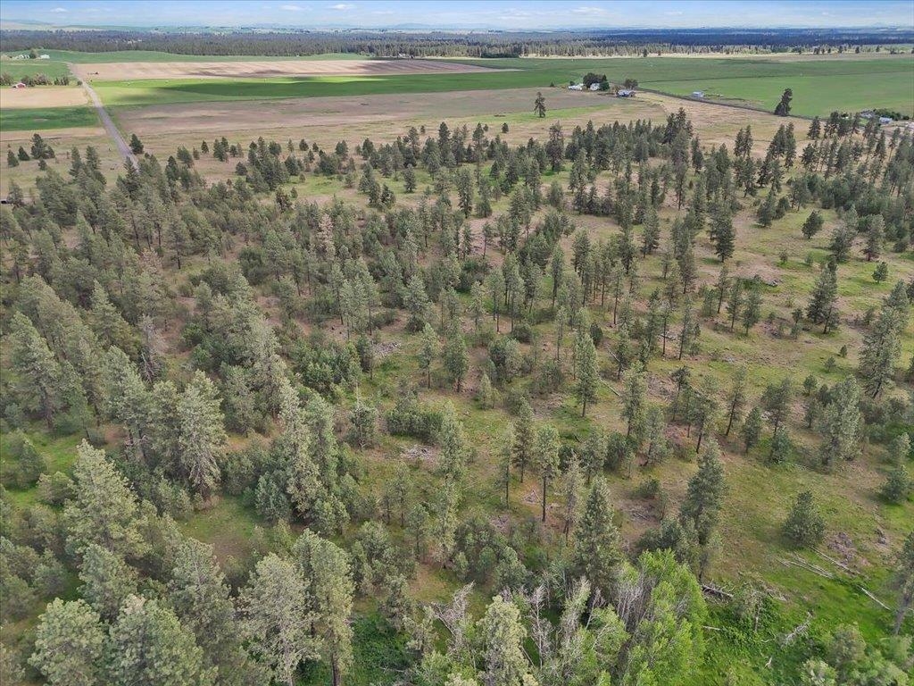 NKA Malloy Prairie Rd - Photo 6