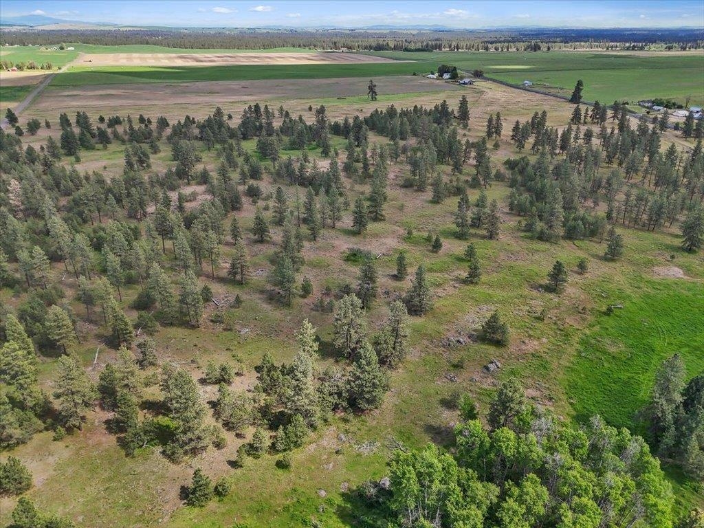 NKA Malloy Prairie Rd - Photo 4